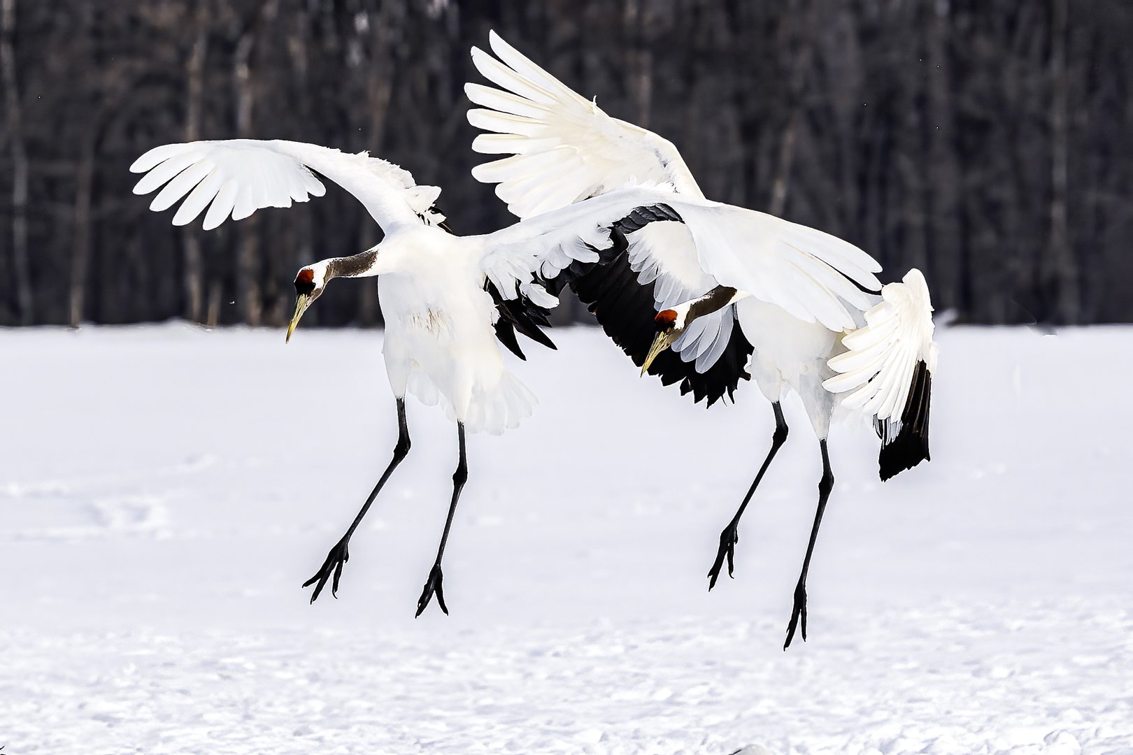 Two landing