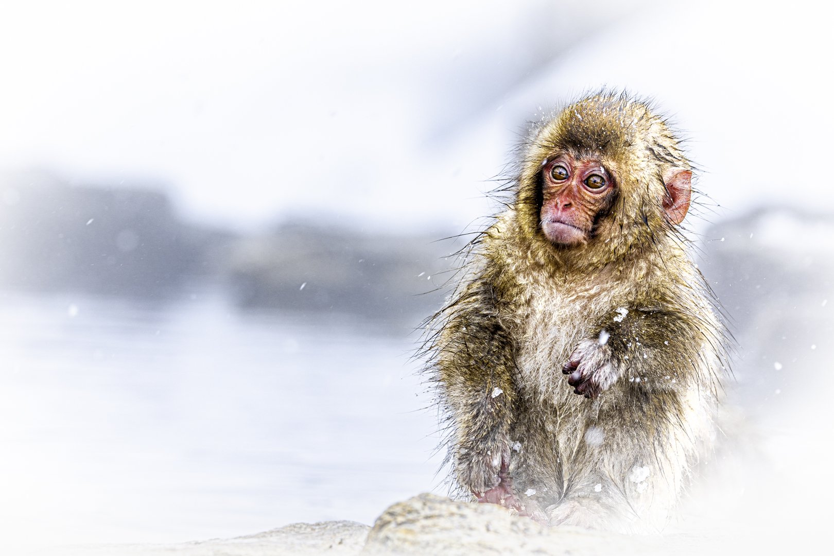 Cold in snow