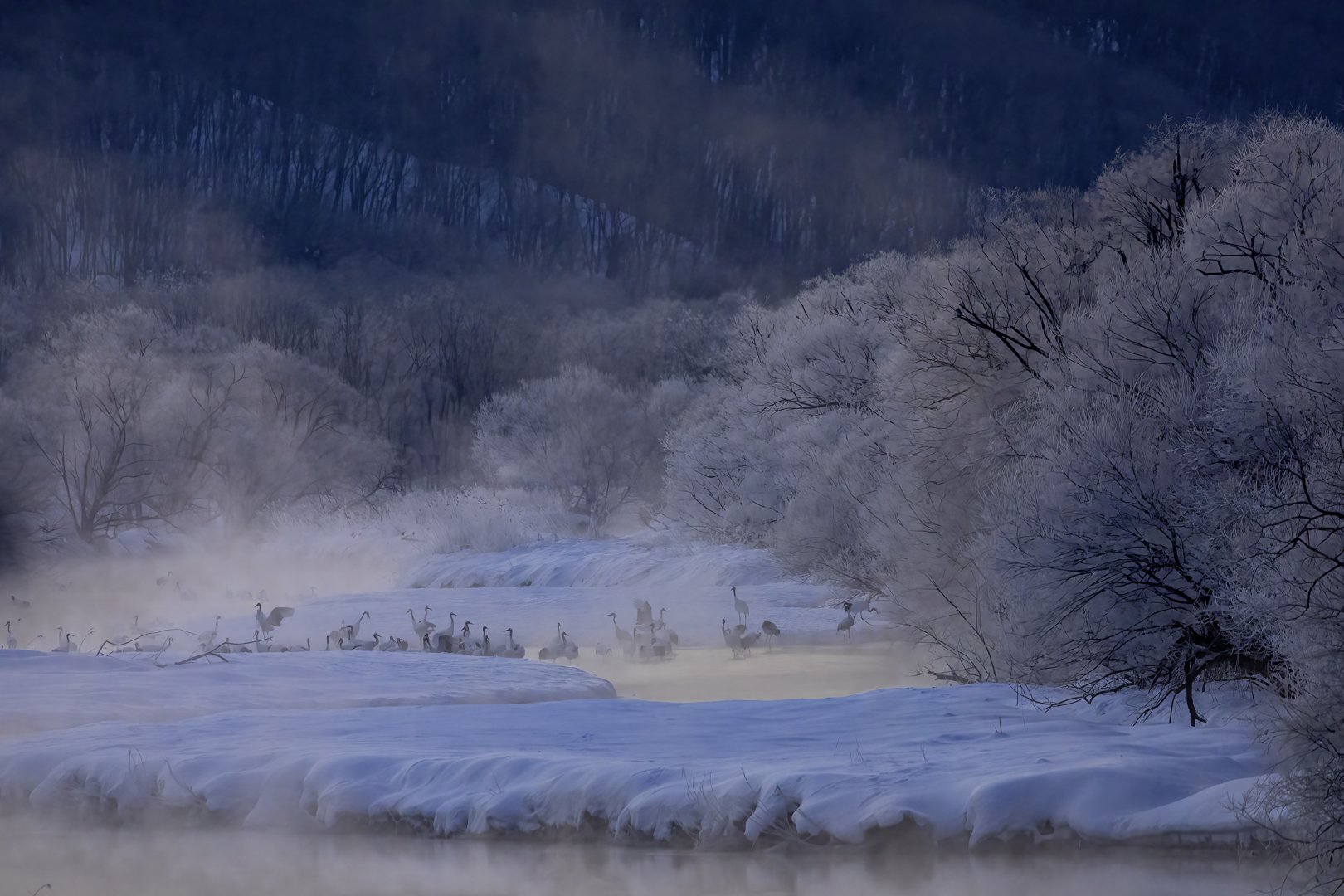 Waking up in steam