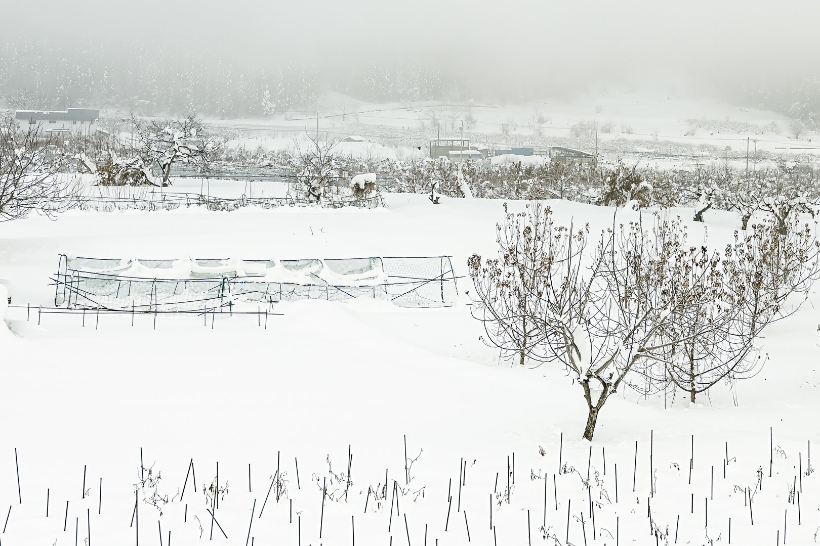 And the snow kept falling