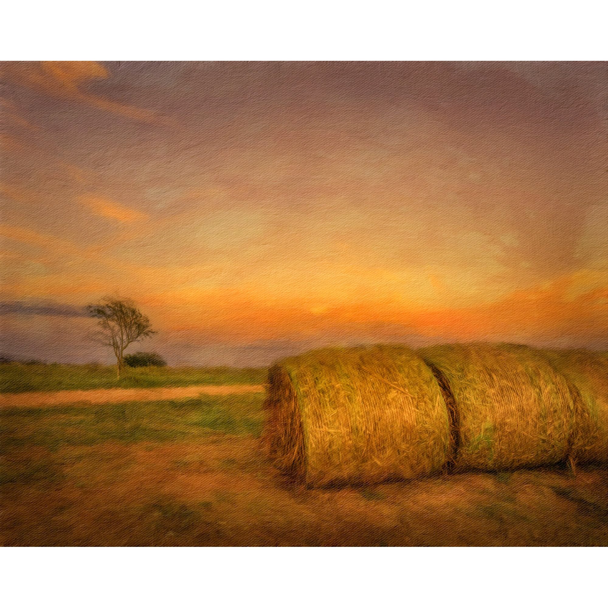 Hay Bales and Tree at Dusk
