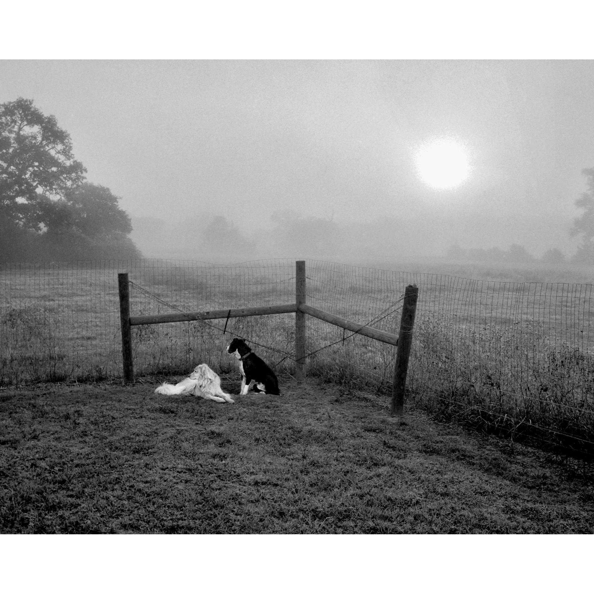 TJ and Eli in Fog