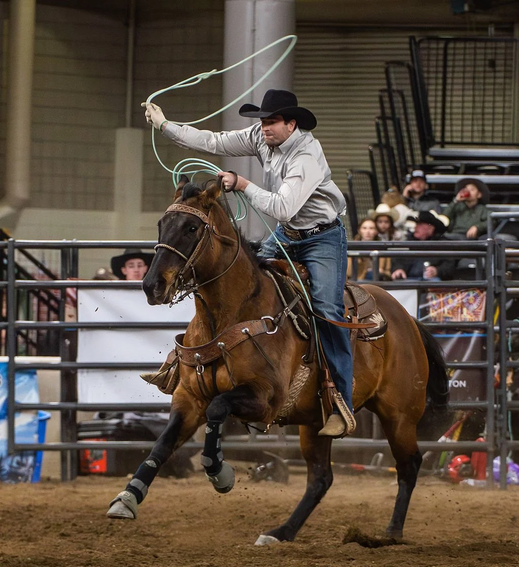 Dall's Rodeo Indoor Series Rodeos — Ace's Wild ProRodeo