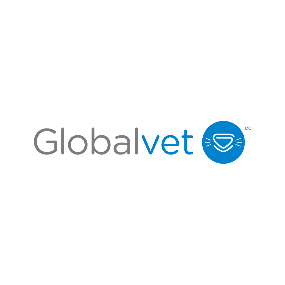 Avenue-Maguire_Clinique-Maguire-Veterinaire.png