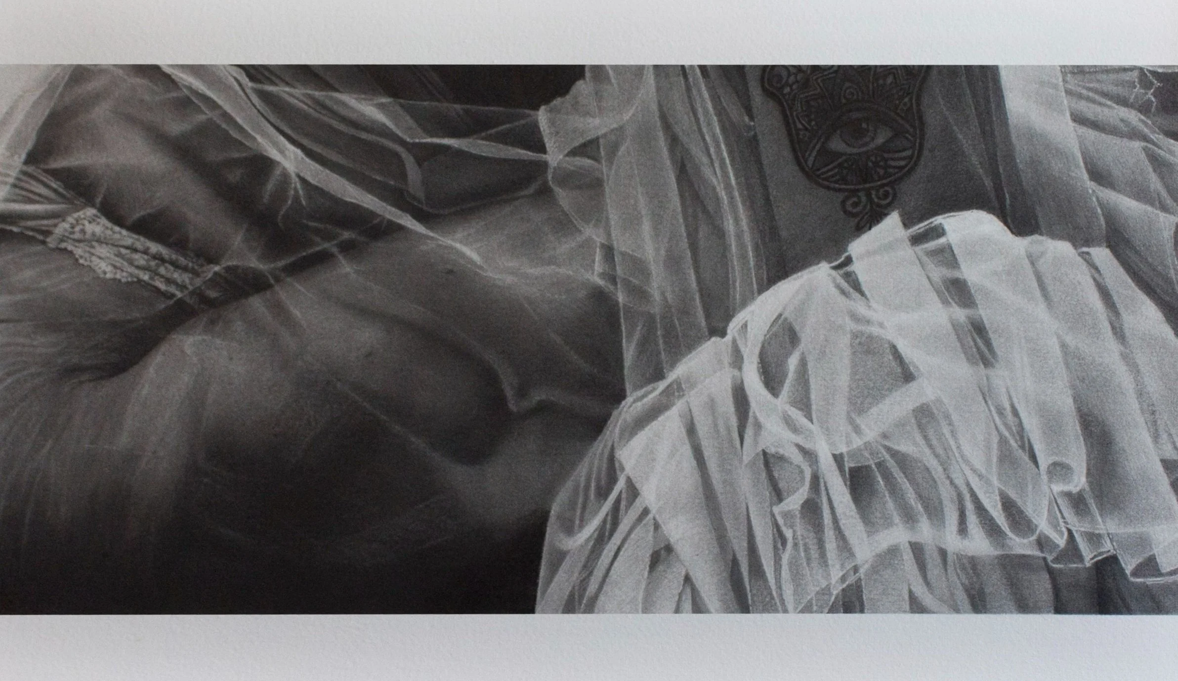 2605222137 crop.jpg