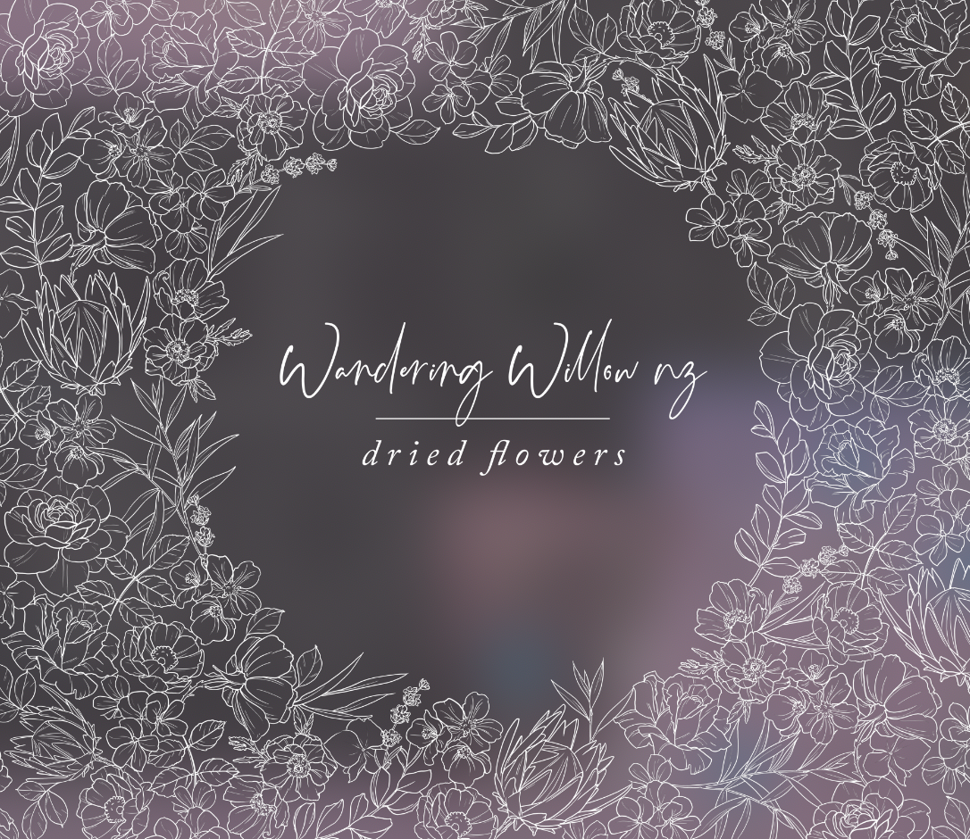 Screen Shot 2025-02-04 at 11.21.36 PM.png