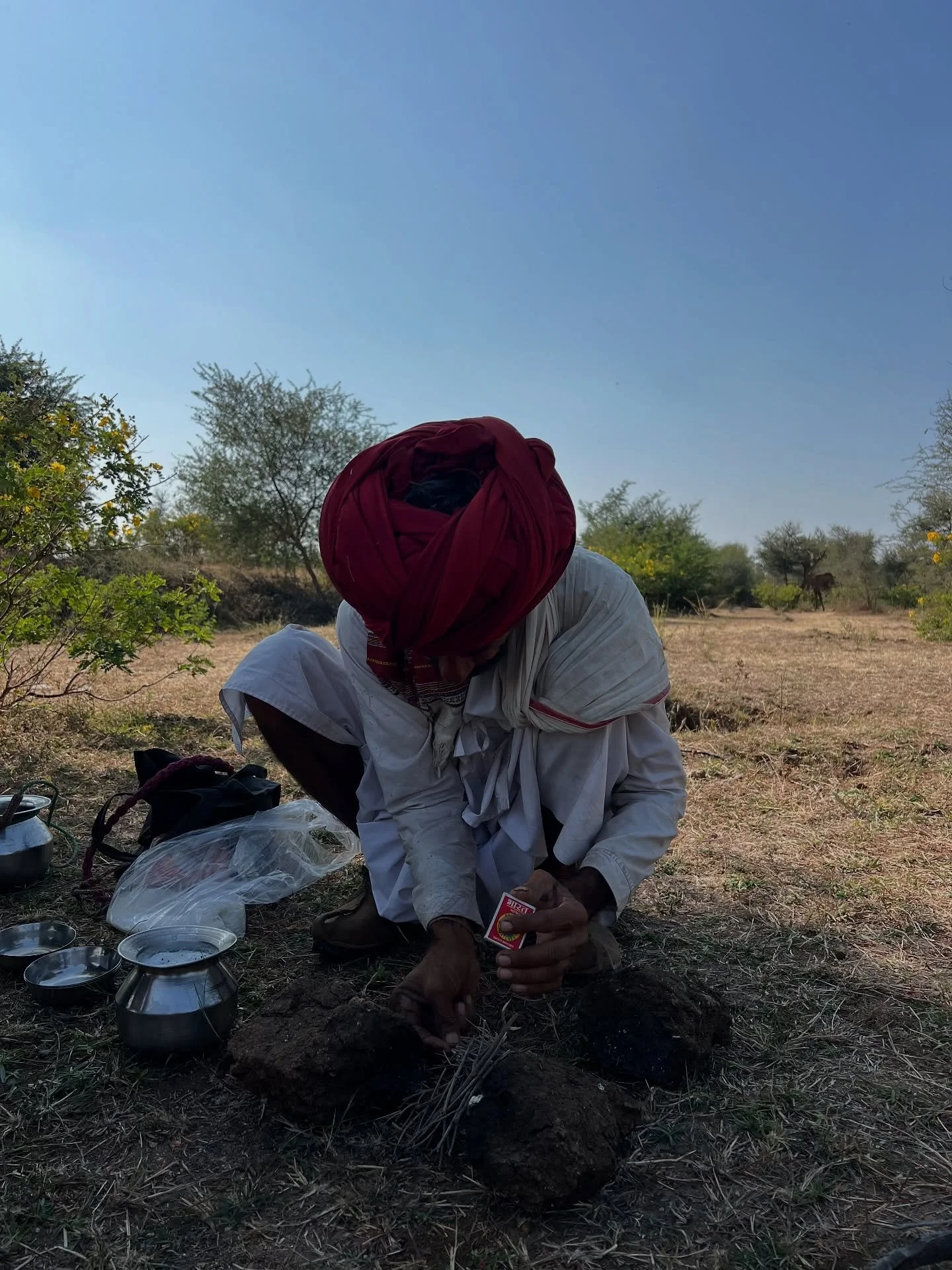 More photos of camel love ❤️&zwj;🔥 you can see the affection the camels have for the Raika and vice versa (photos 3 and 4 especially). I love how GIANT the last camel is 🐪 see previous post about the story of the Raika and their relationship to the