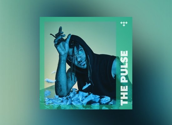 banner-thepulse.jpeg