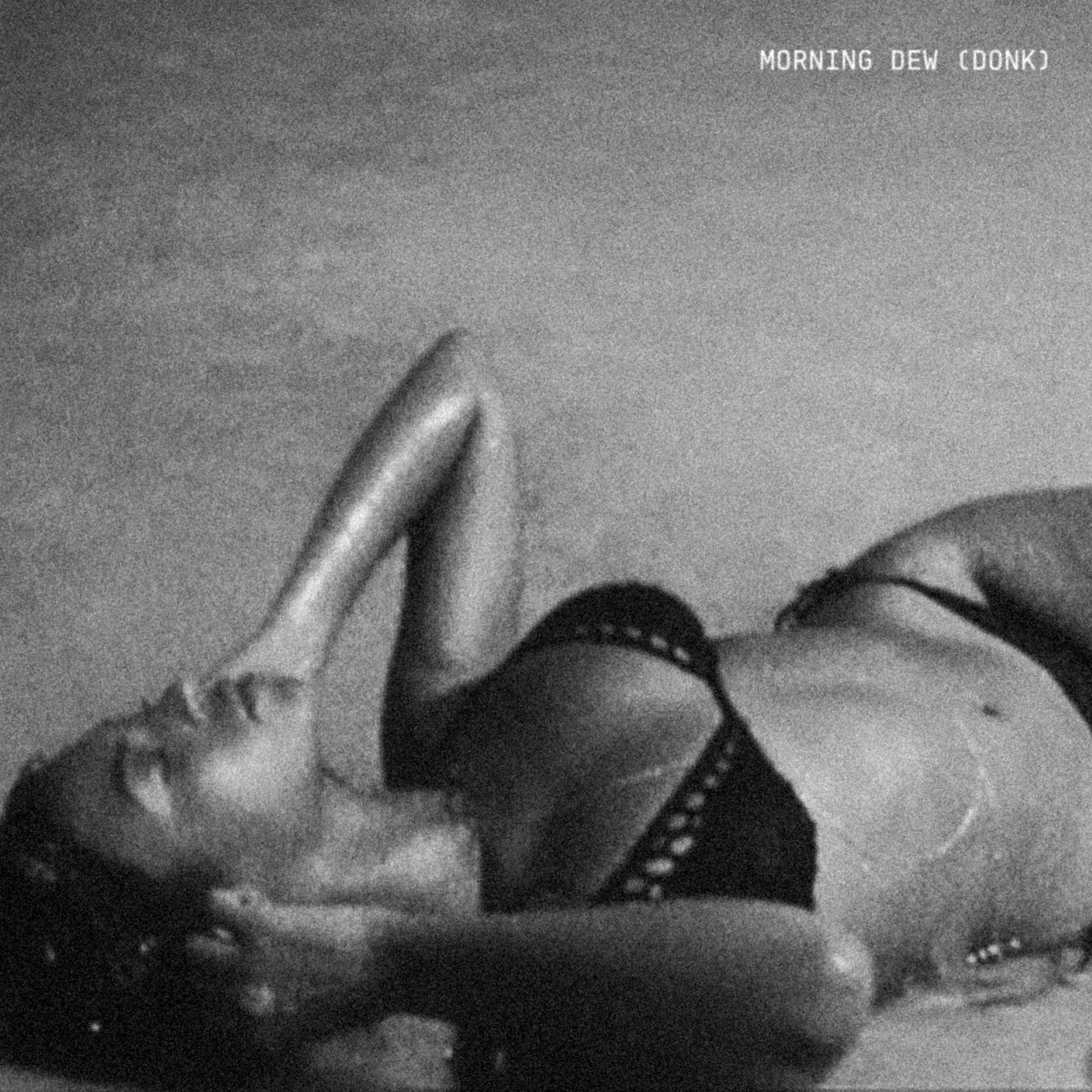 Beyoncé Releases New Song "Morning Dew (Donk)" Ahead of B'DAY 20th Anniversary Reissue