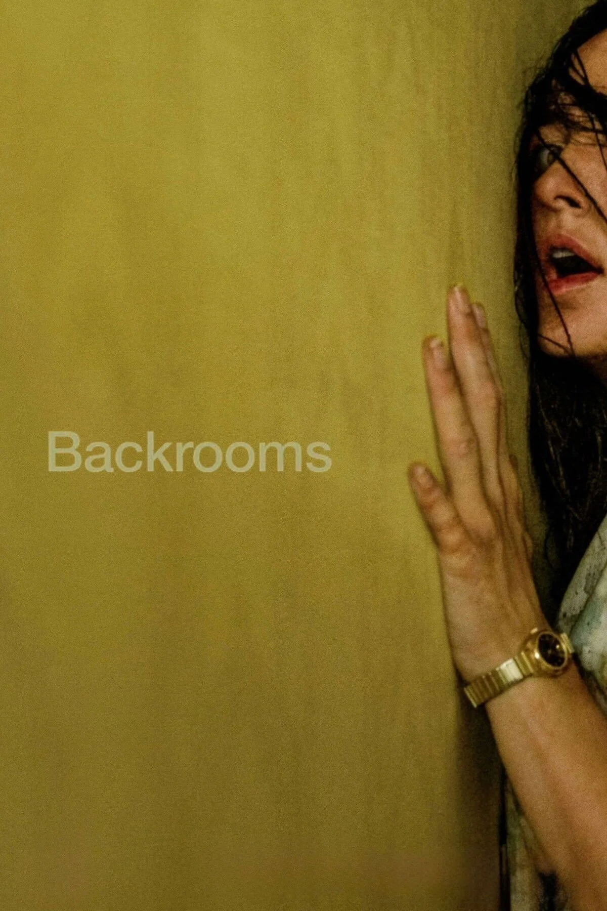 A Recap of the Movie “Backrooms”