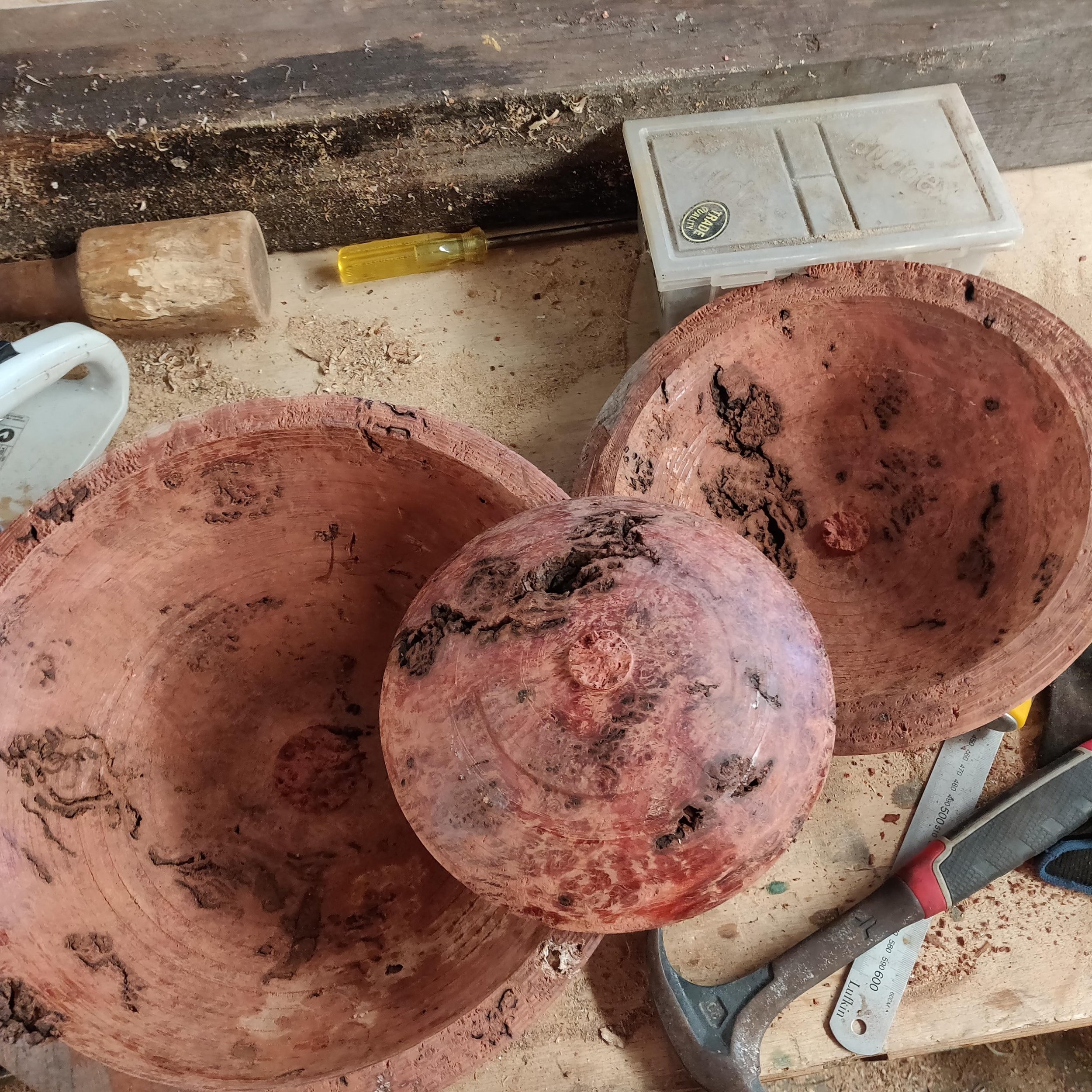 Roughed out Jarrah Burl bowls