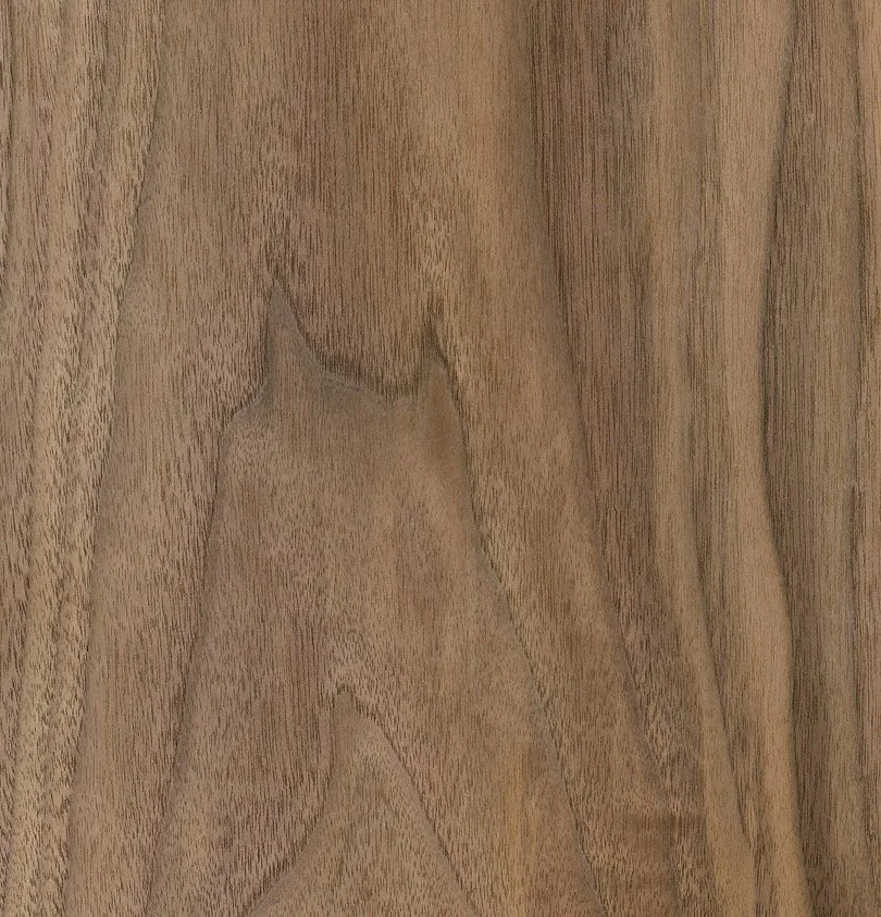 Close Up American Walnut