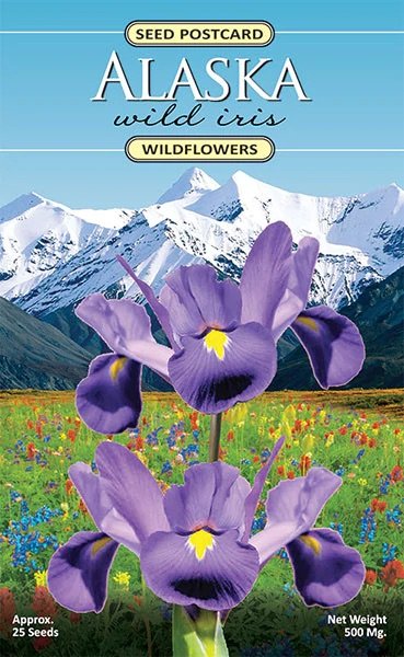 Alaska-Wild-Iris2_1024x.jpeg