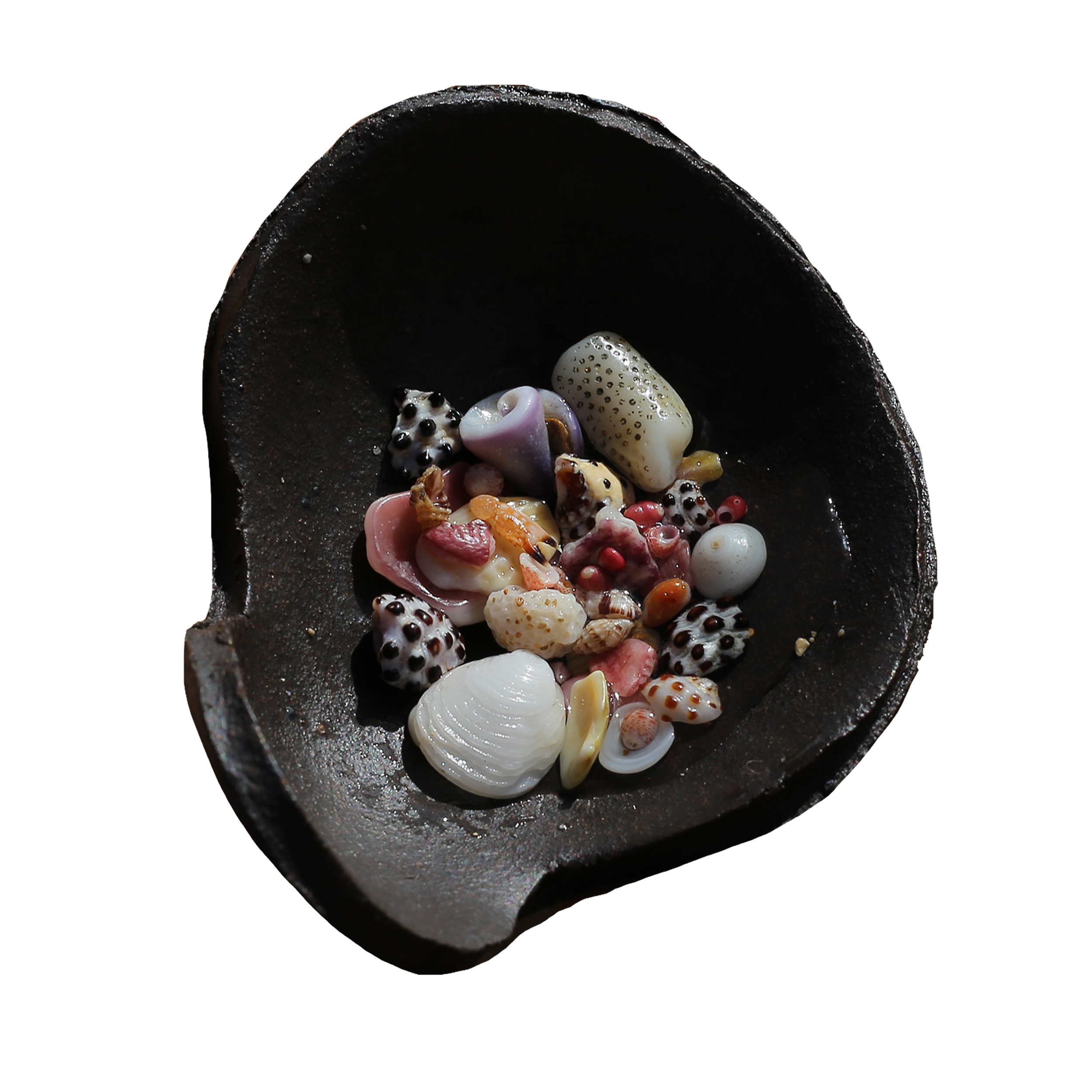 shelling bowl top.png