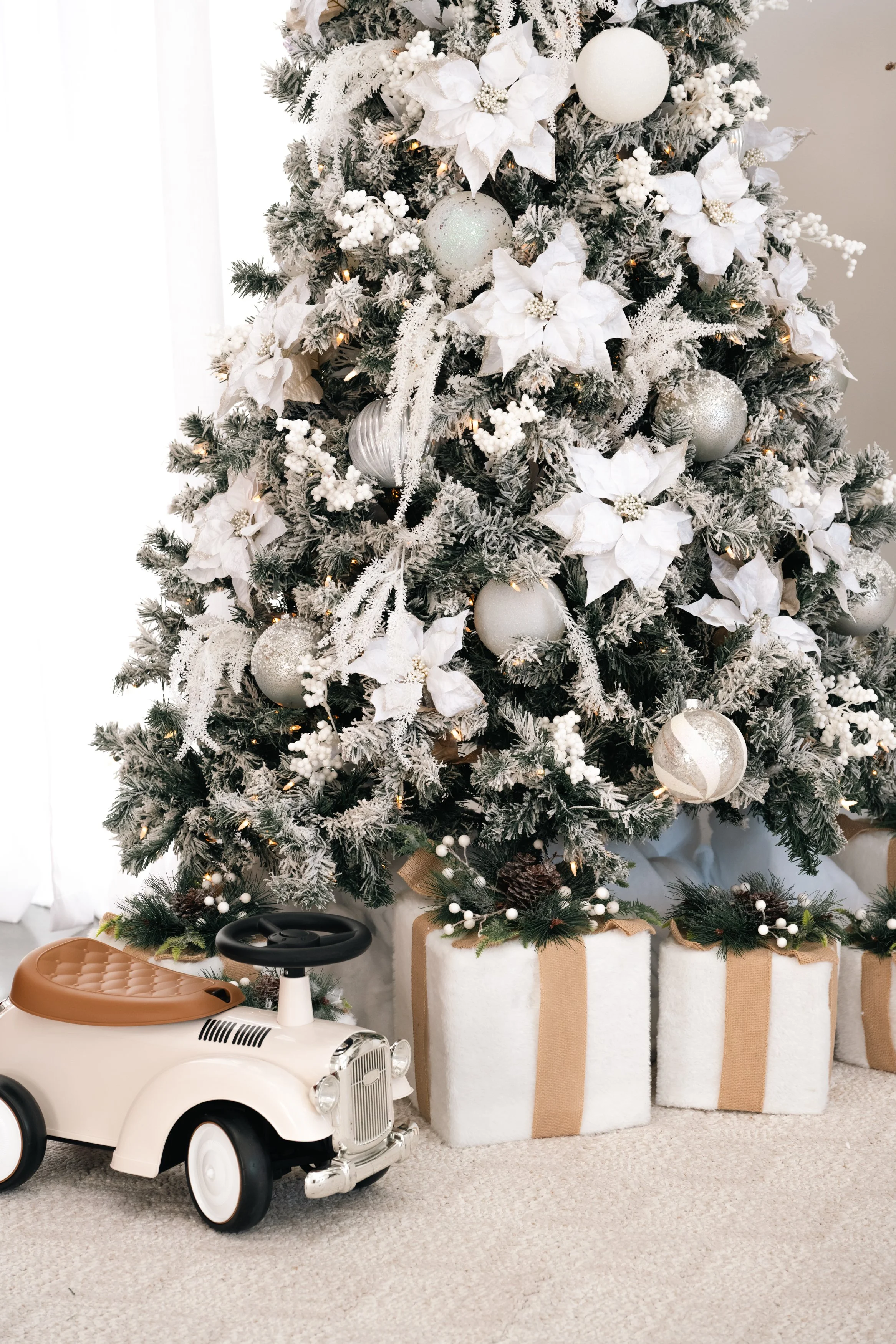 Christmas photos-68.jpg