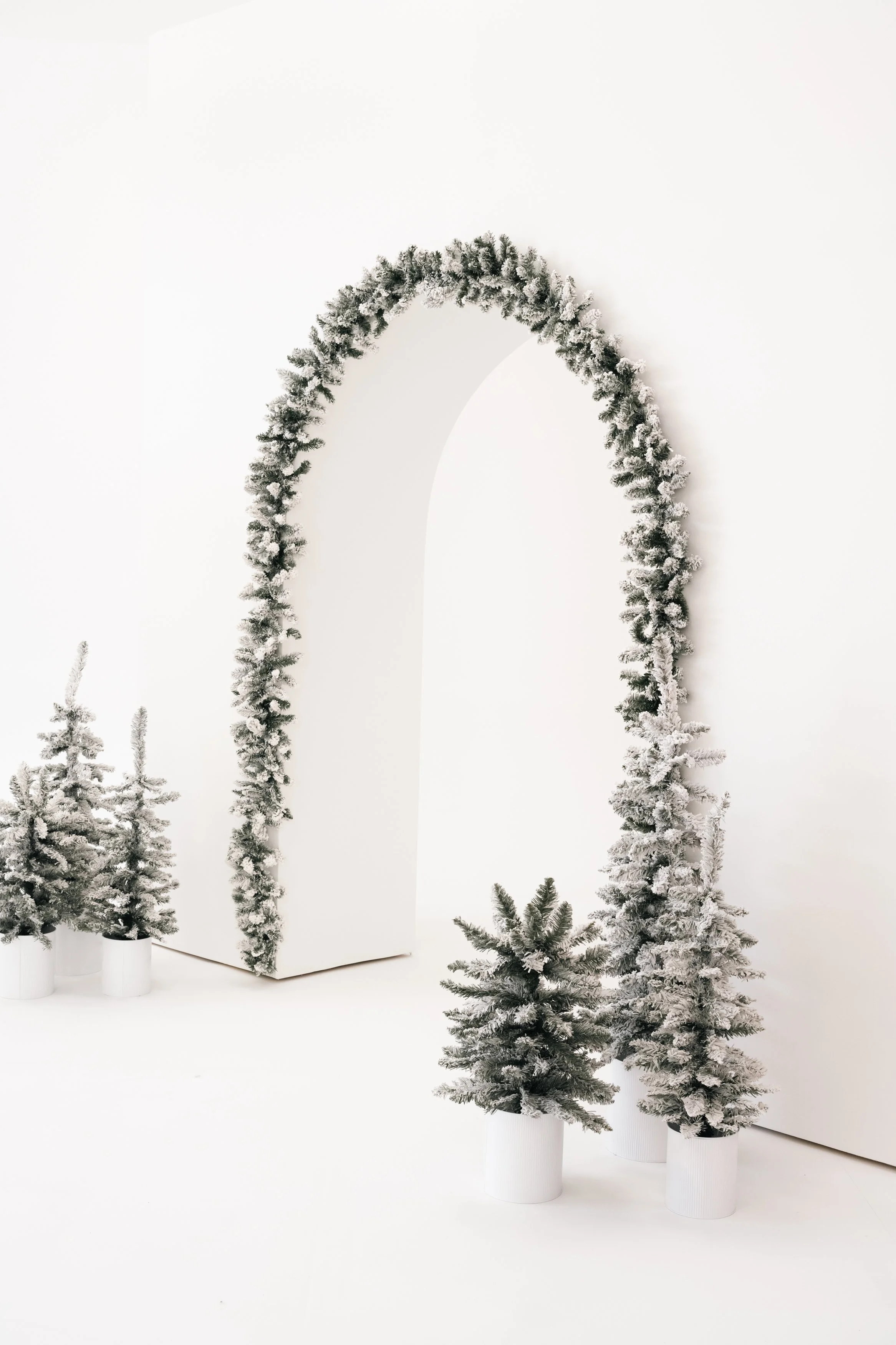 Christmas photos.jpg