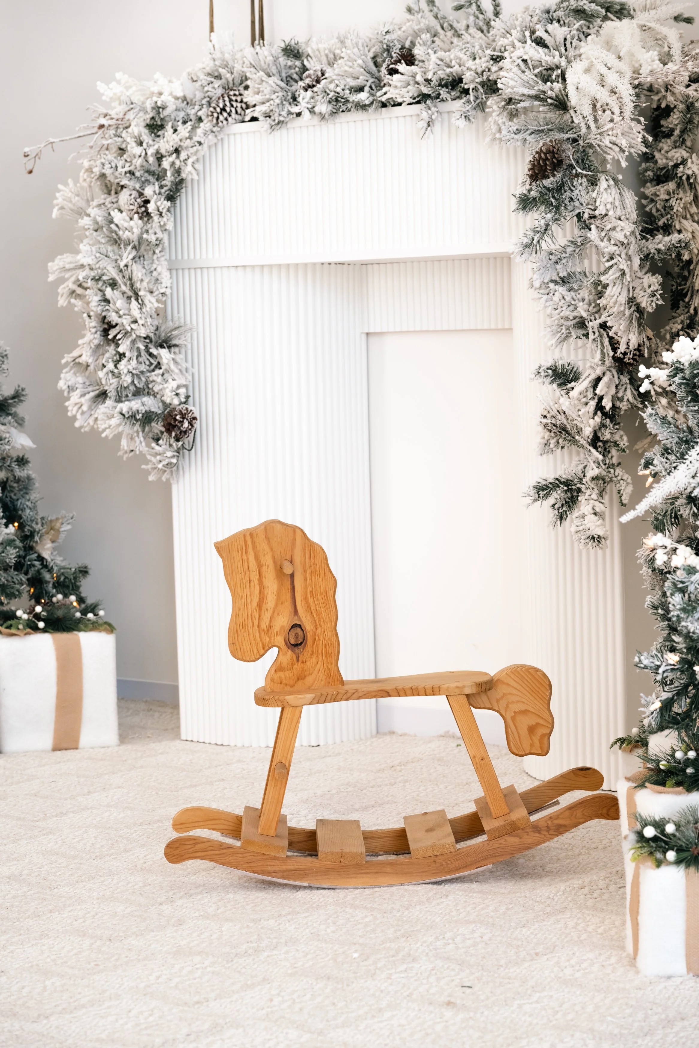 Christmas photos-69.jpg