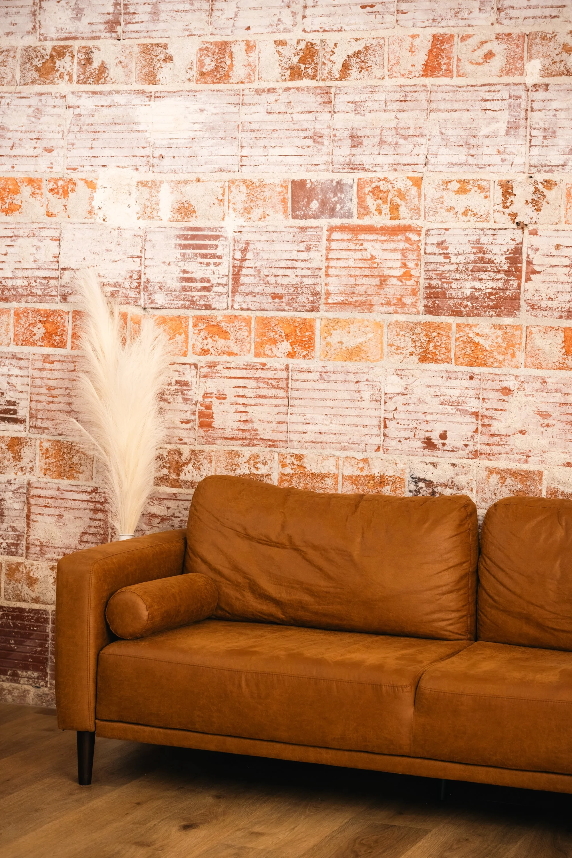 Studio%25208%2520Spring%2520-39.jpg