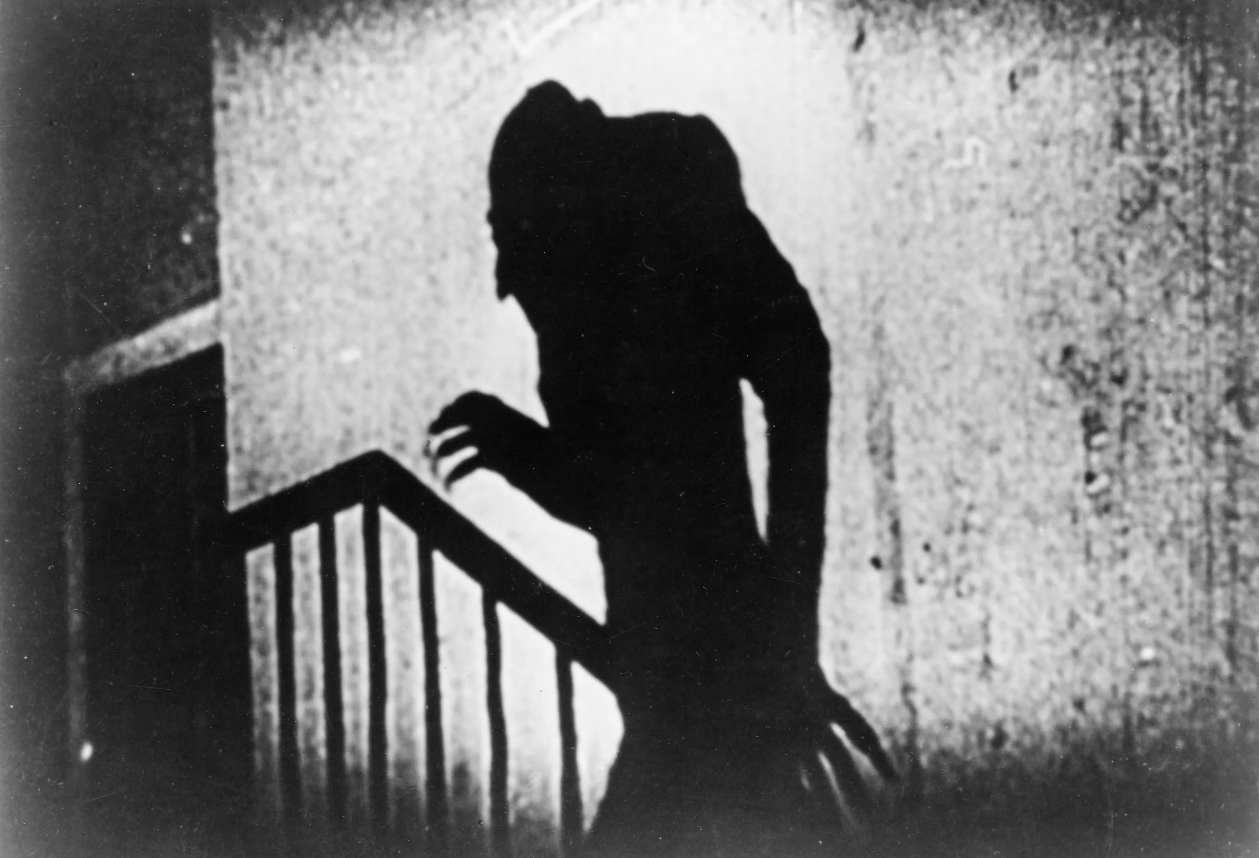 The Top 5 Vampire Movies (For People Who Don’t Like Twilight)