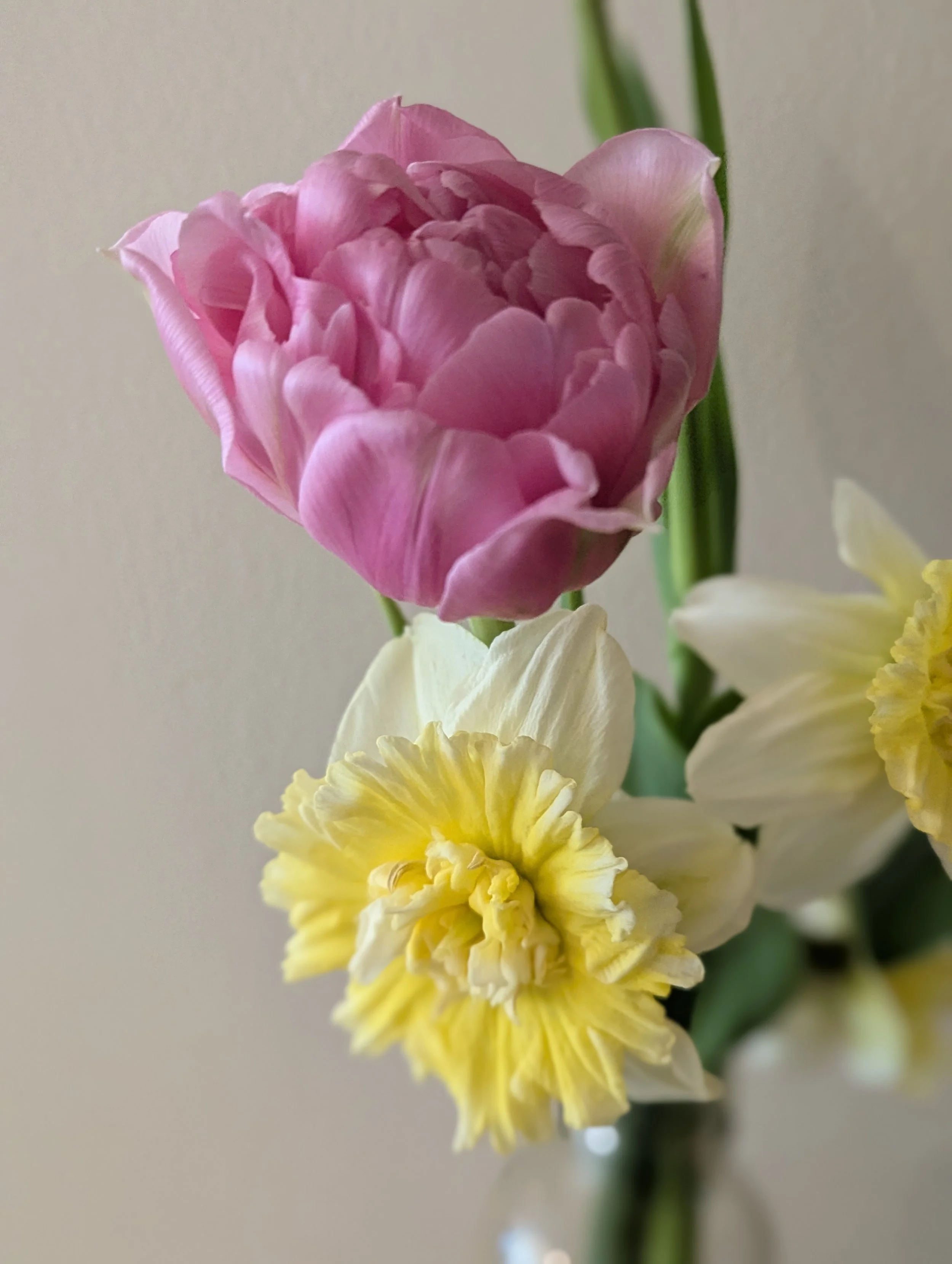 Easter + Passover Flowers