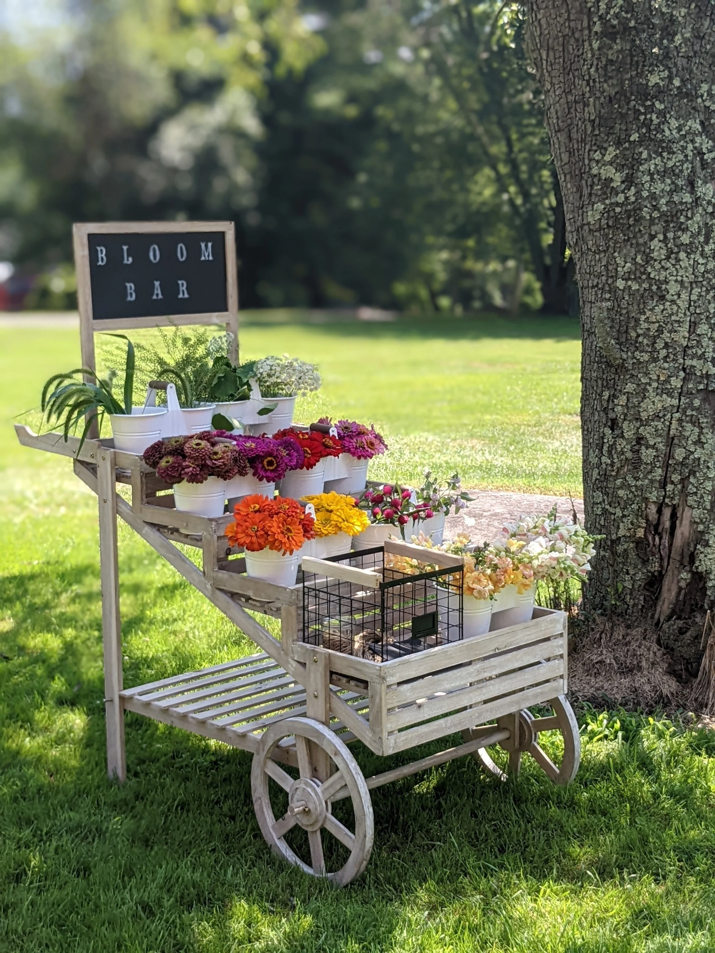 Bloom Bar — Flower Farm in Valley, PA