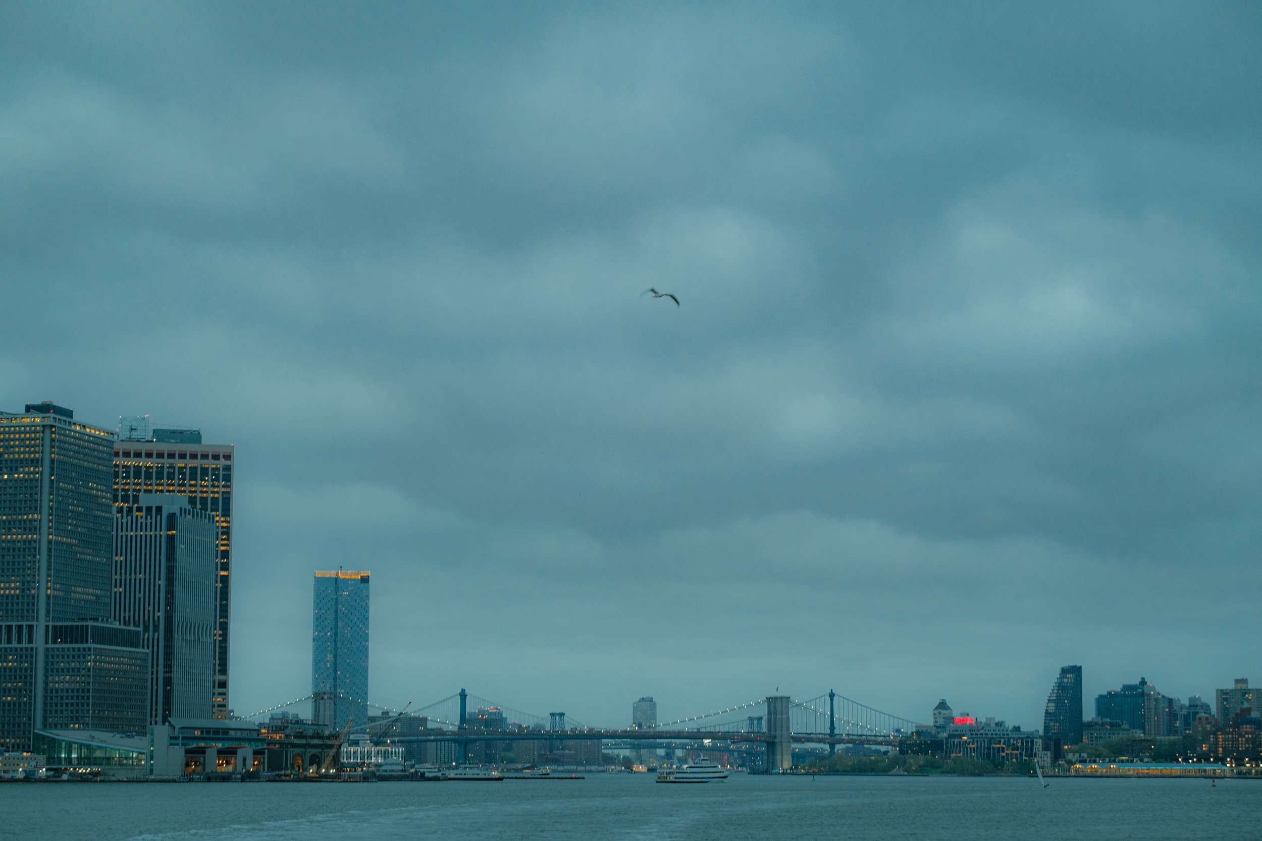 DSCF1416.jpg