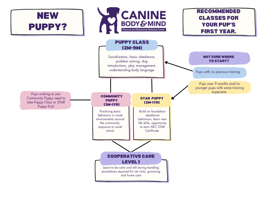 Puppy Classes and Private Lessons — Canine Body and Mind