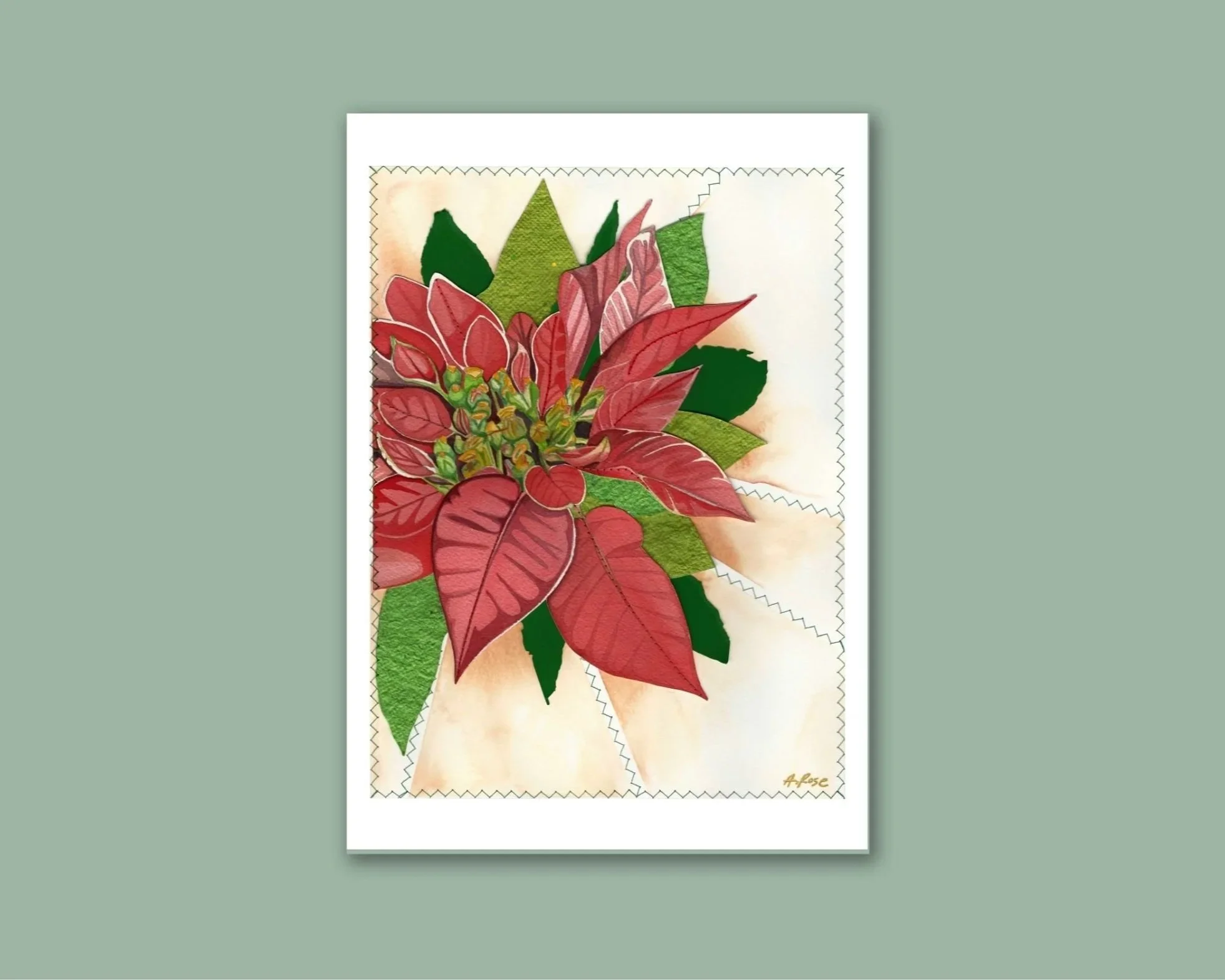 Poinsettia