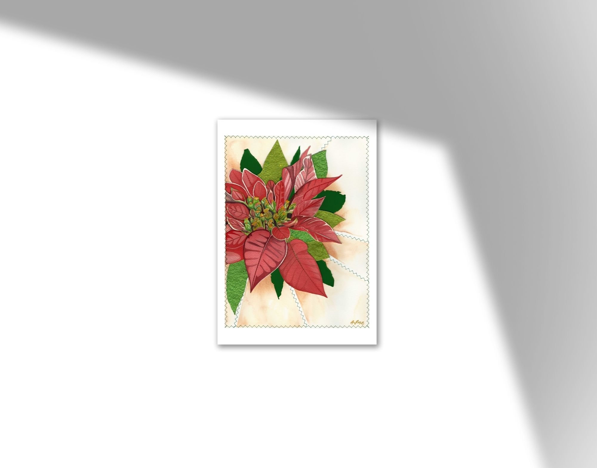 Poinsettia