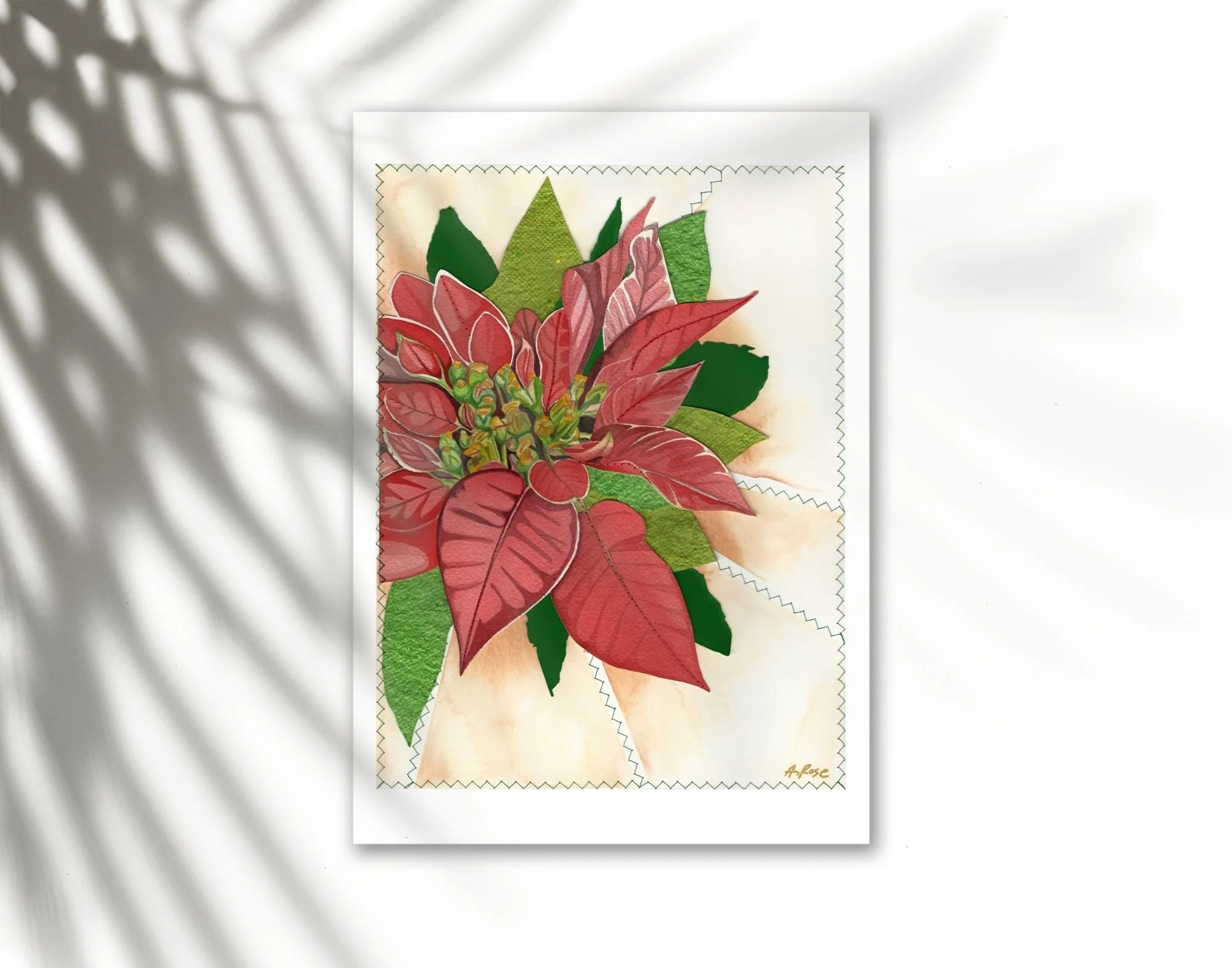 Poinsettia