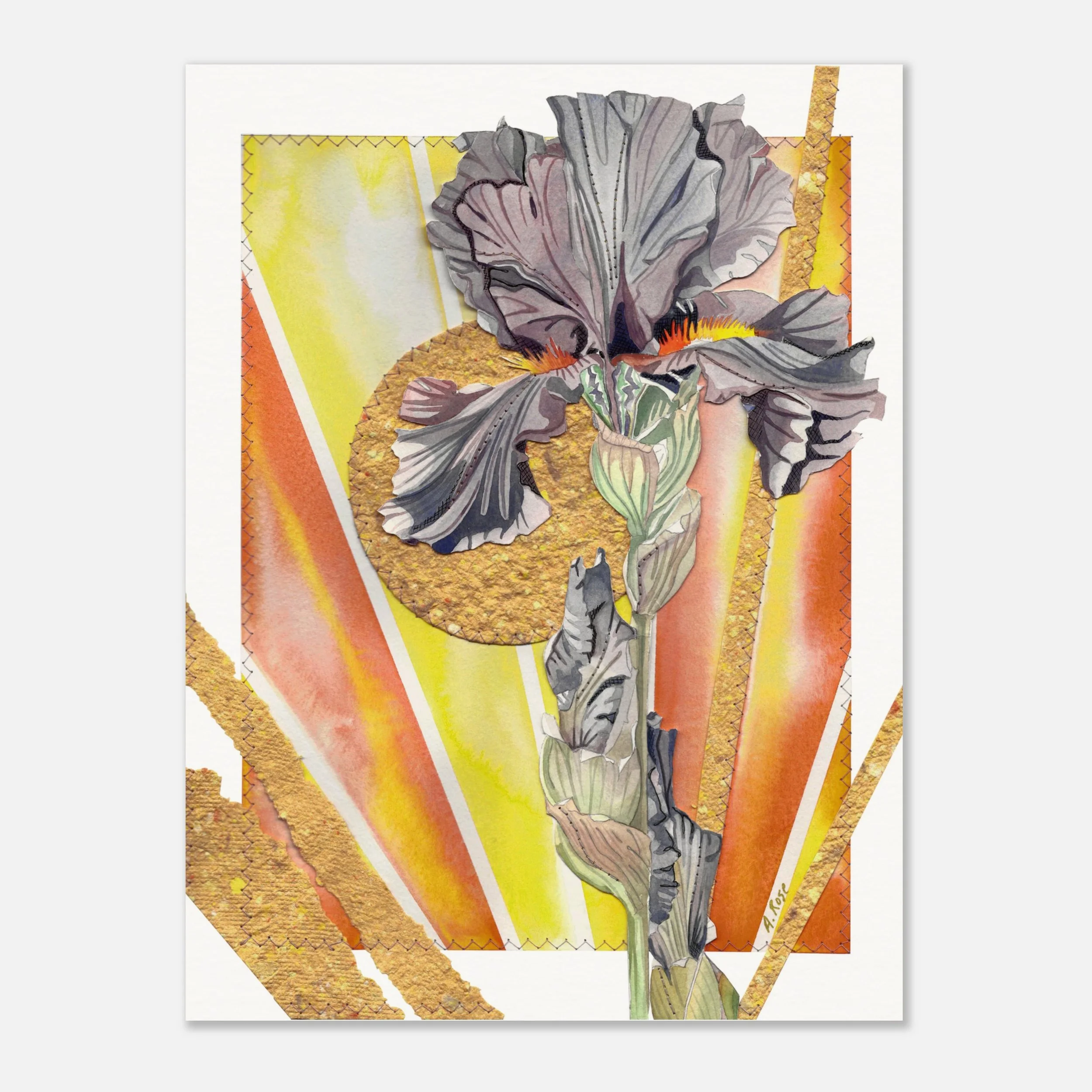 The Colors of Carrying On