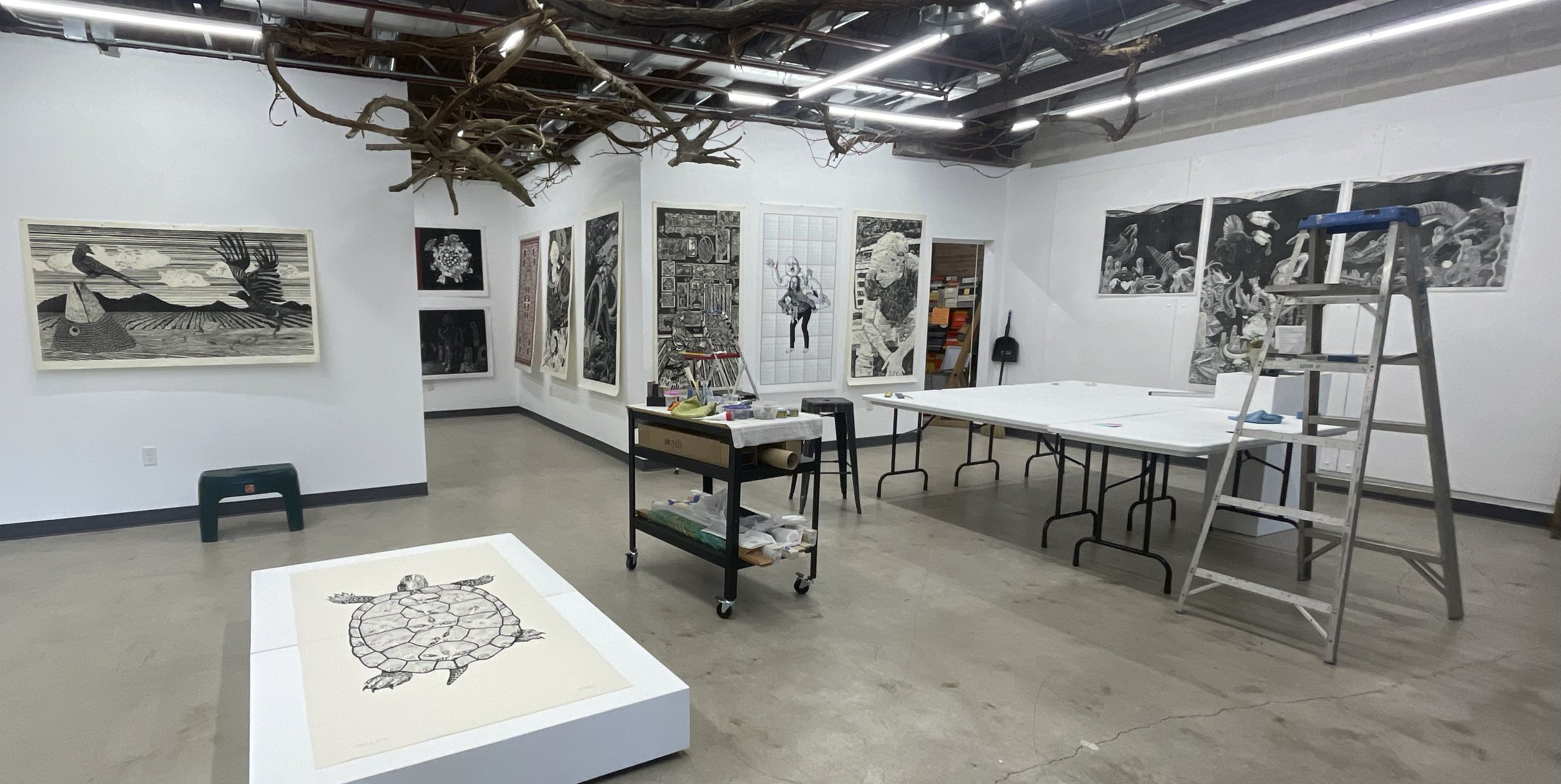 15 Artists from the Hamilton Woodtype and Printing Museum’s collection of Really Big Prints