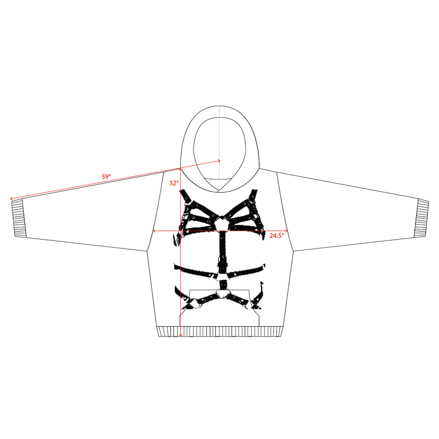 measurements+harness.png.webp