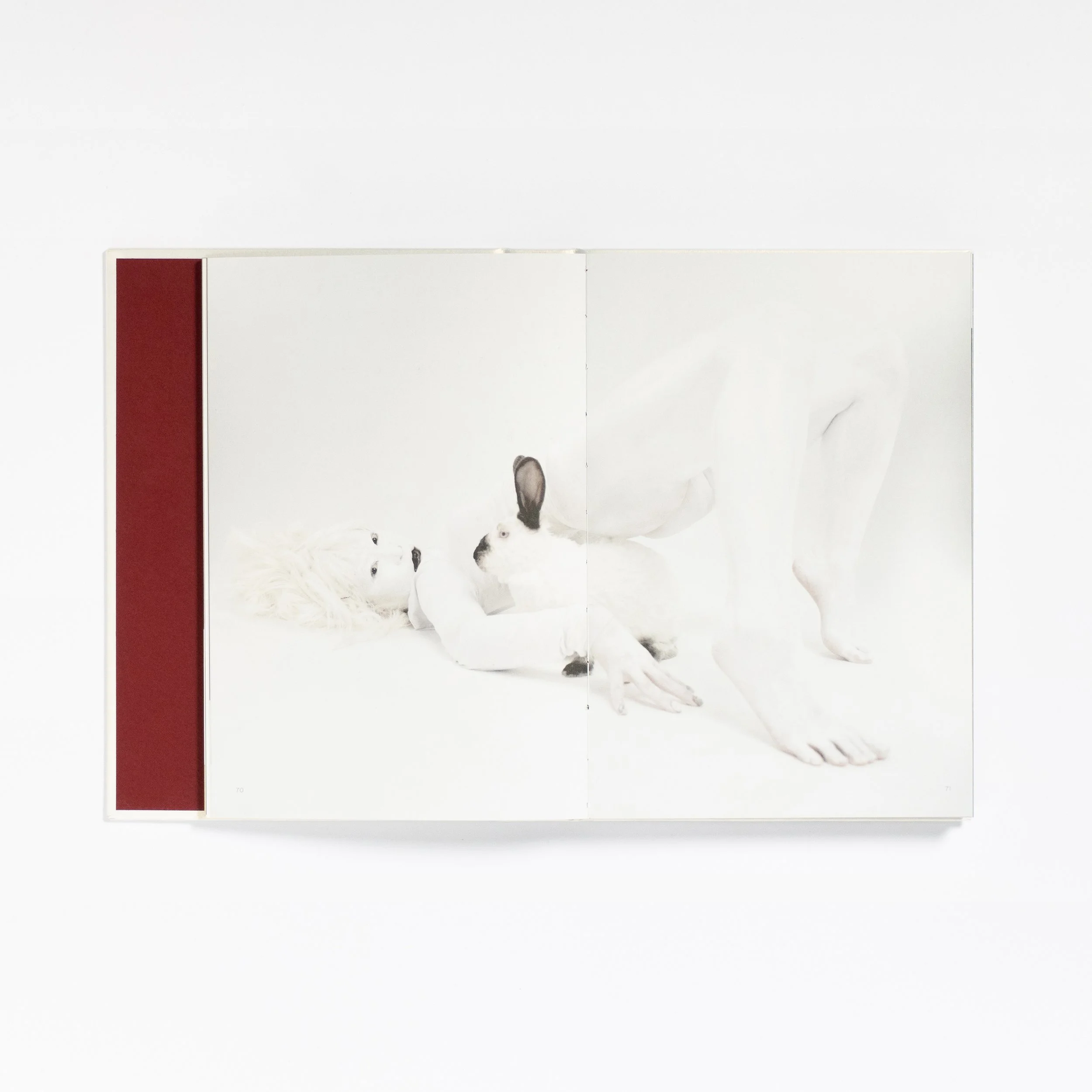 AC_Book_Photo_FlatLay_2x3_0003_21.jpg