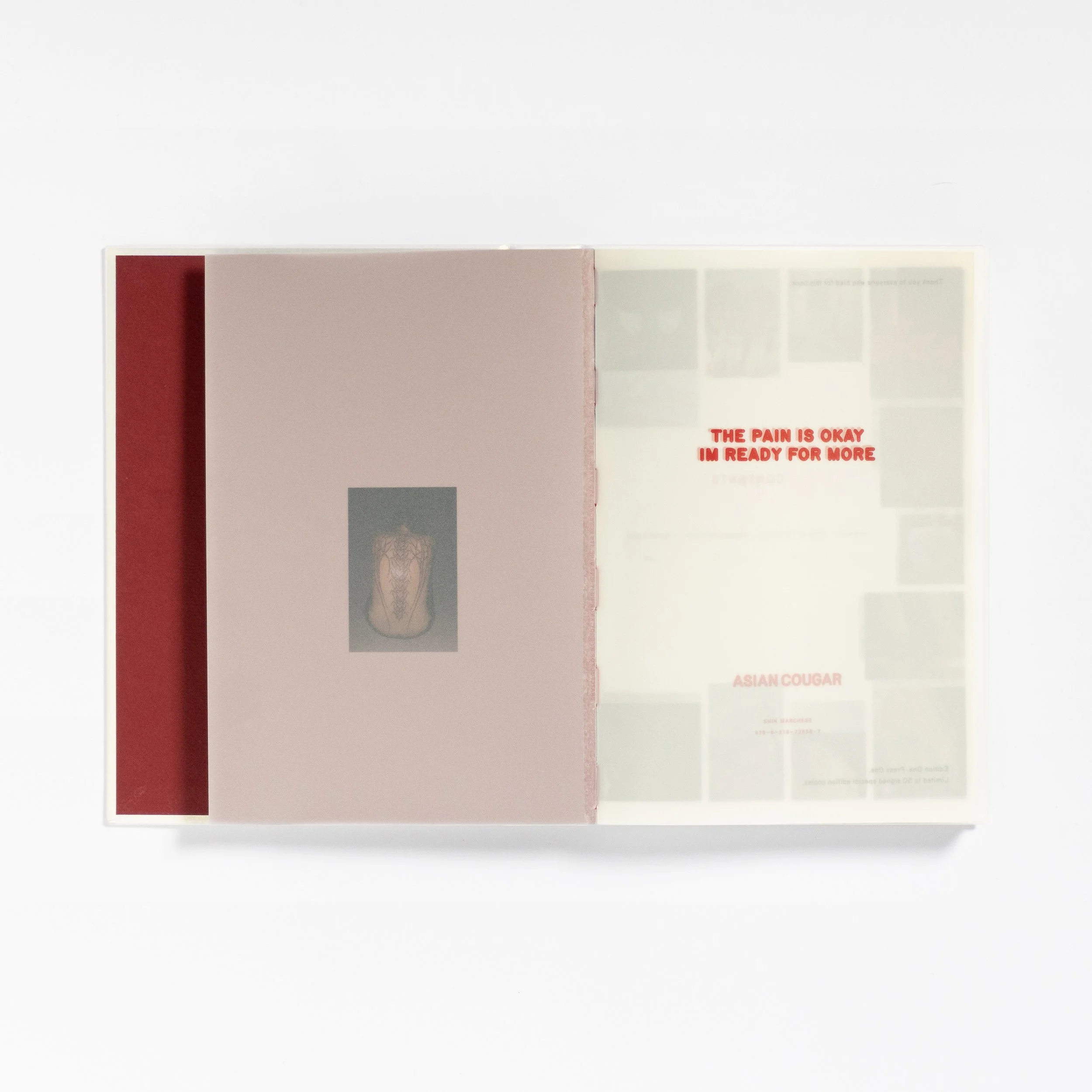 AC_Book_Photo_FlatLay_2x3_0000_12.jpg