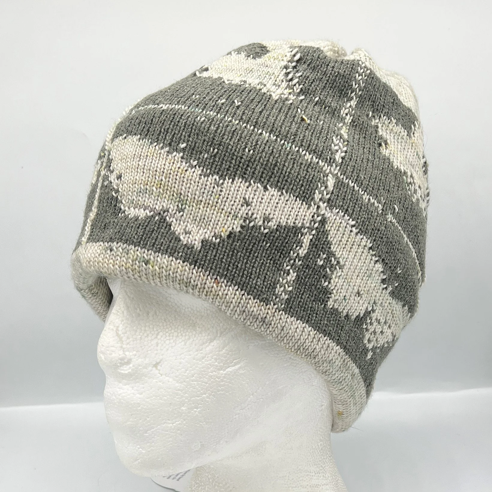 DAZY CHAINS Entomology Reversible Beanie