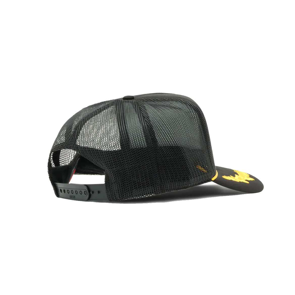 ASHLEY_WILLIAMS_11000000392239_19437.jpg copy.png