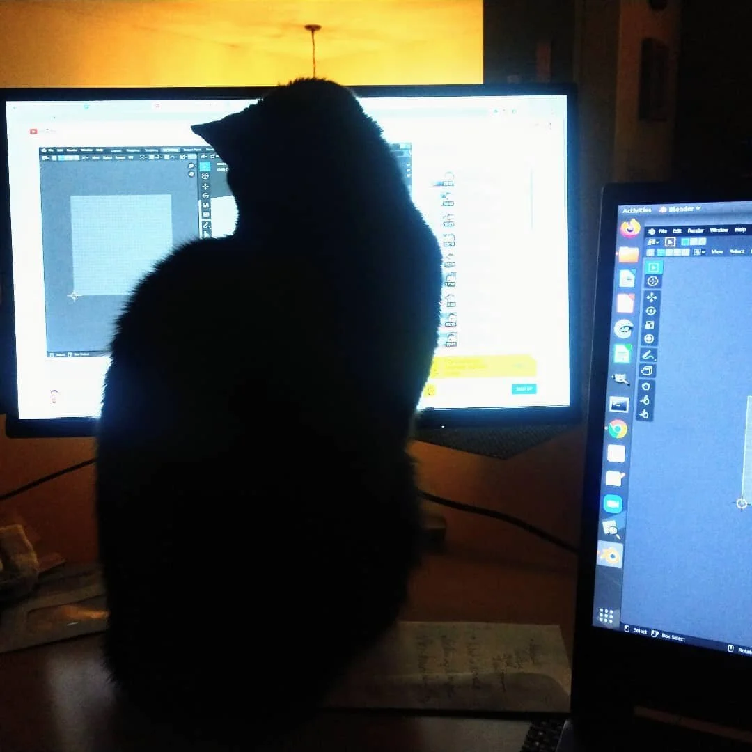 Nova working on her Blender skills.