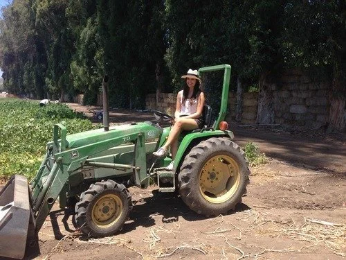 A True Farm-to-Table Meal