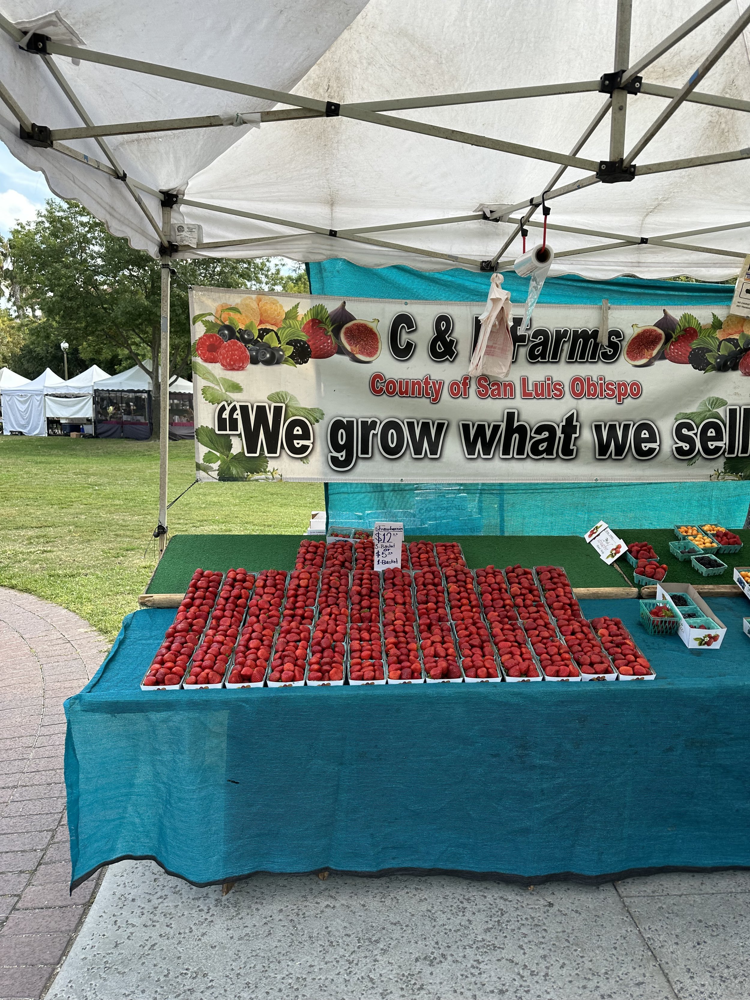 Shopping Locally: The USC Farmers Market&nbsp;