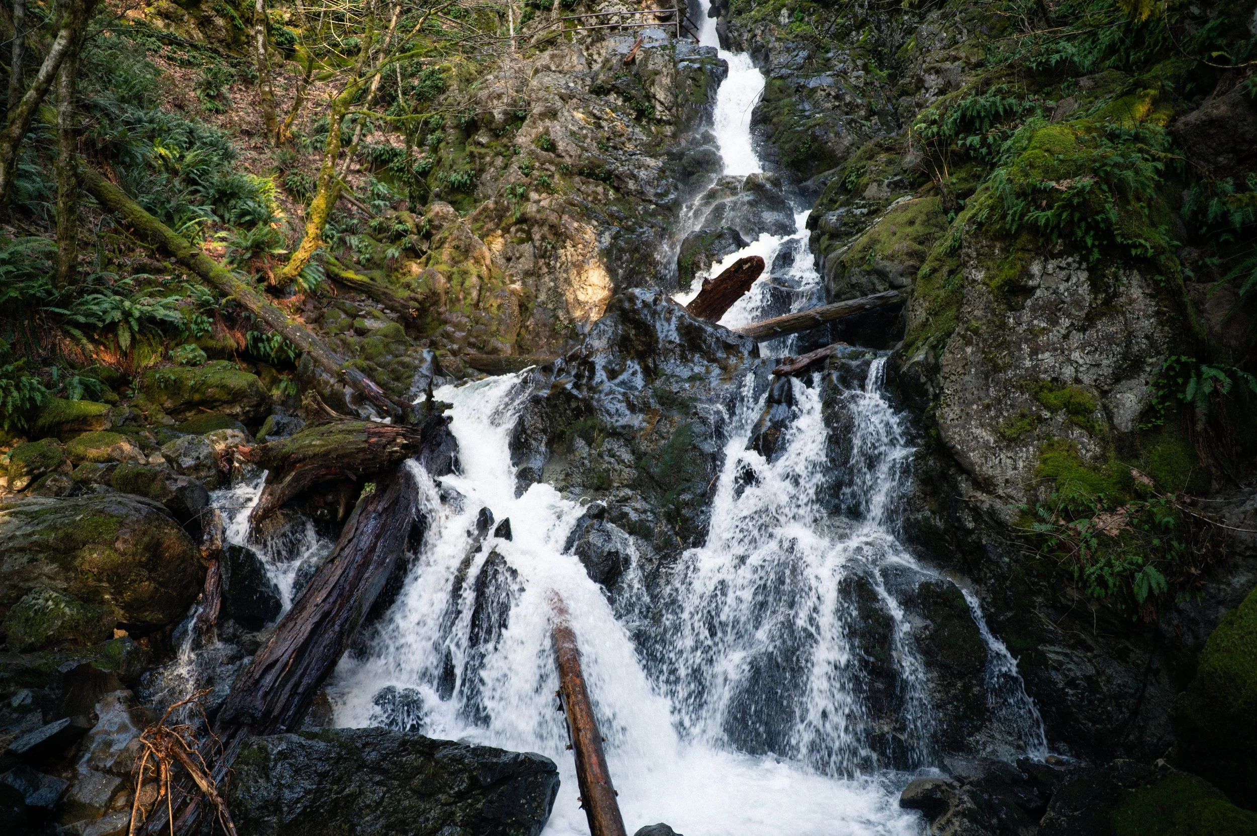 Rodney Falls