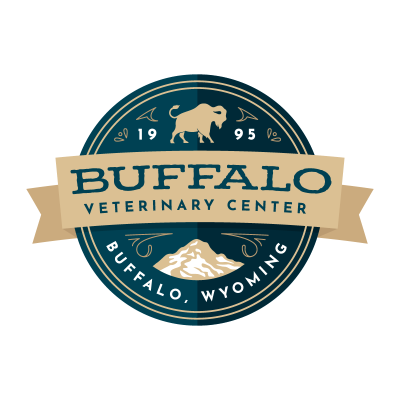 BVC-logo-03.png