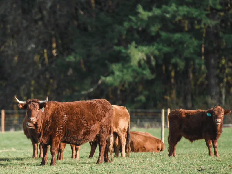 Source Farms