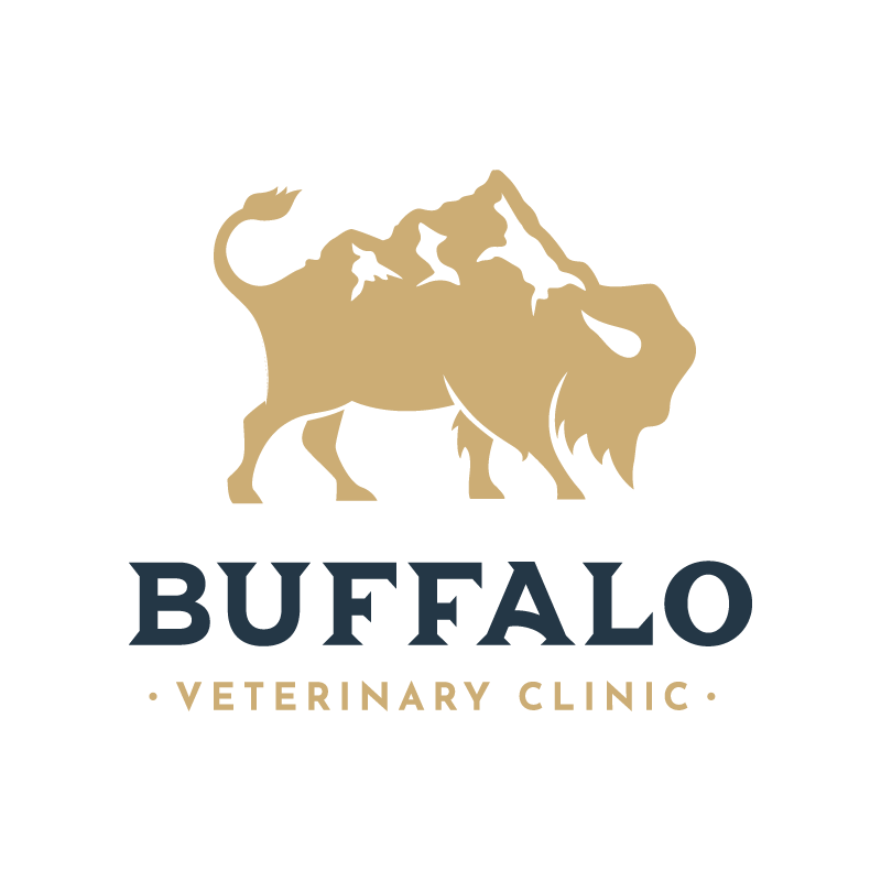 BVC-logo-01.png