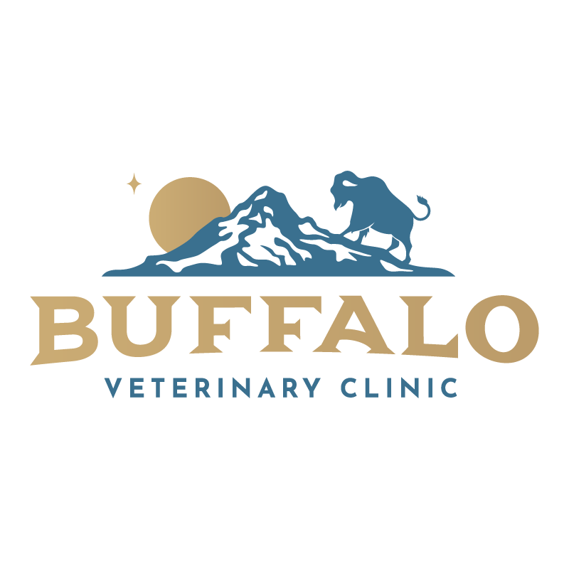 BVC-logo-02.png