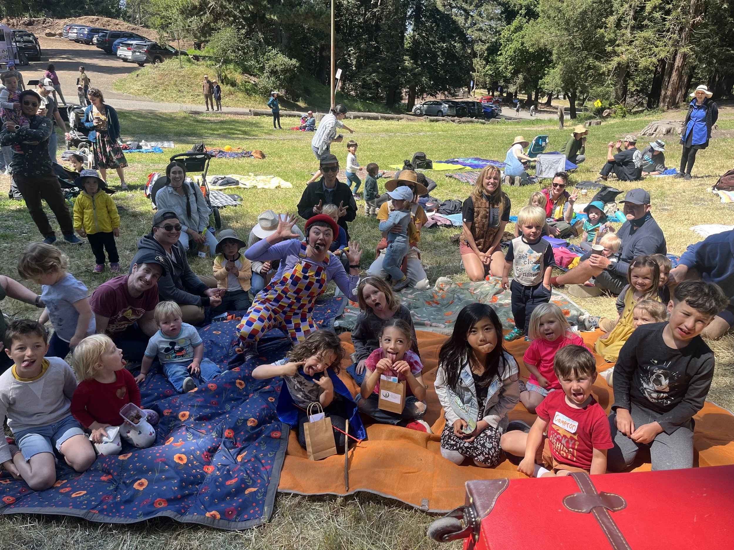 Spring Picnic Fundraiser!