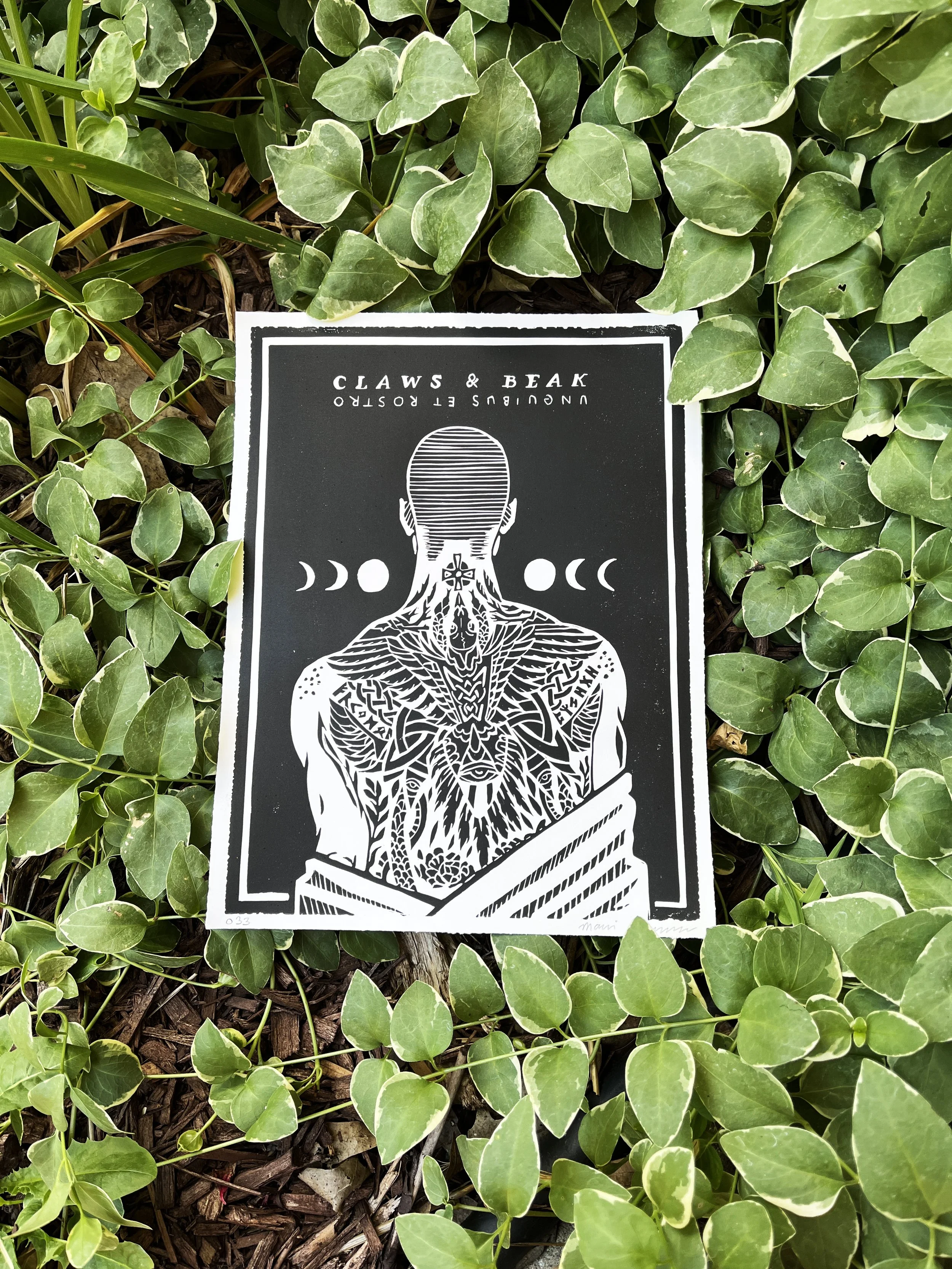 Claws & Beak Print