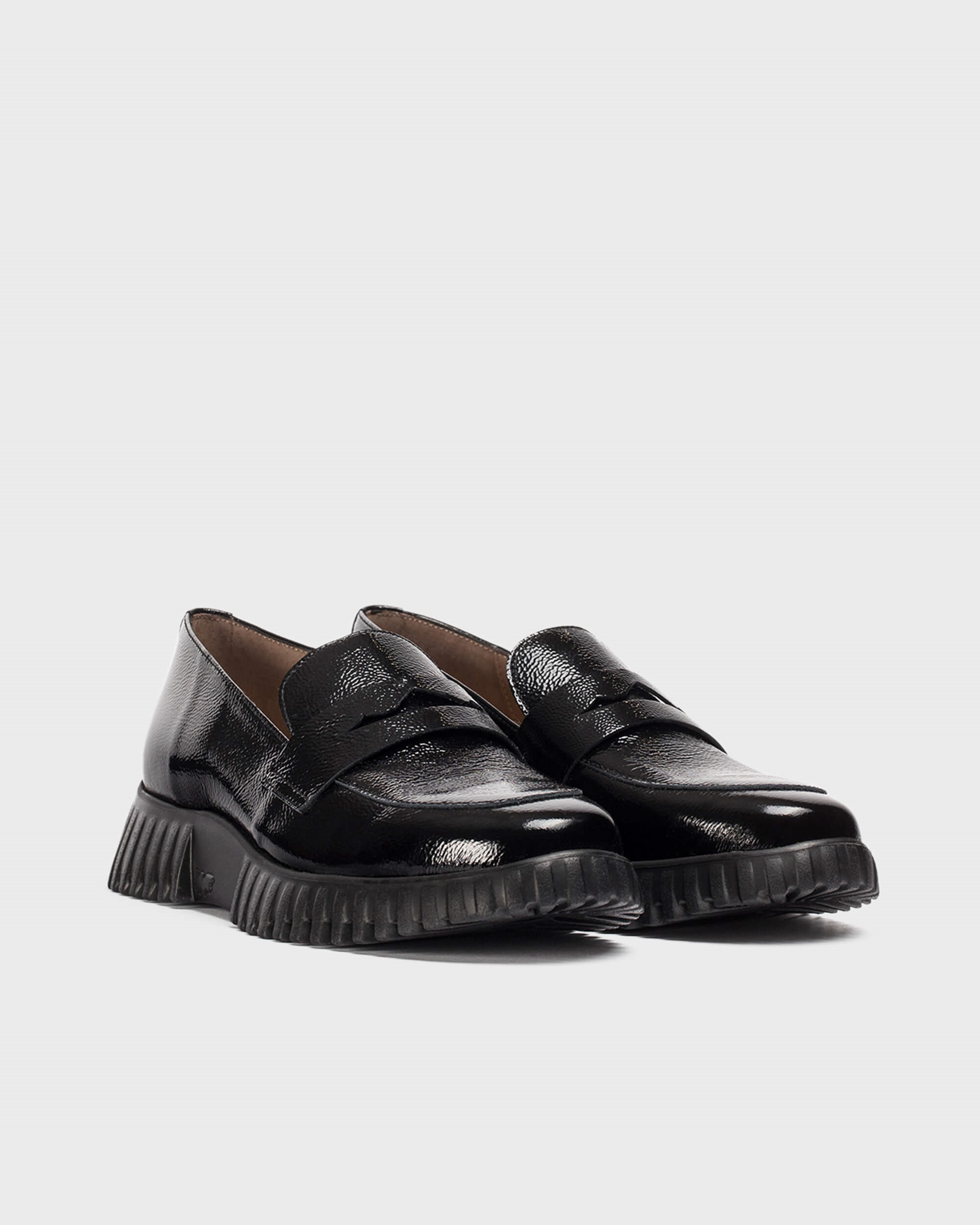 wonders flexfly 1.jpg