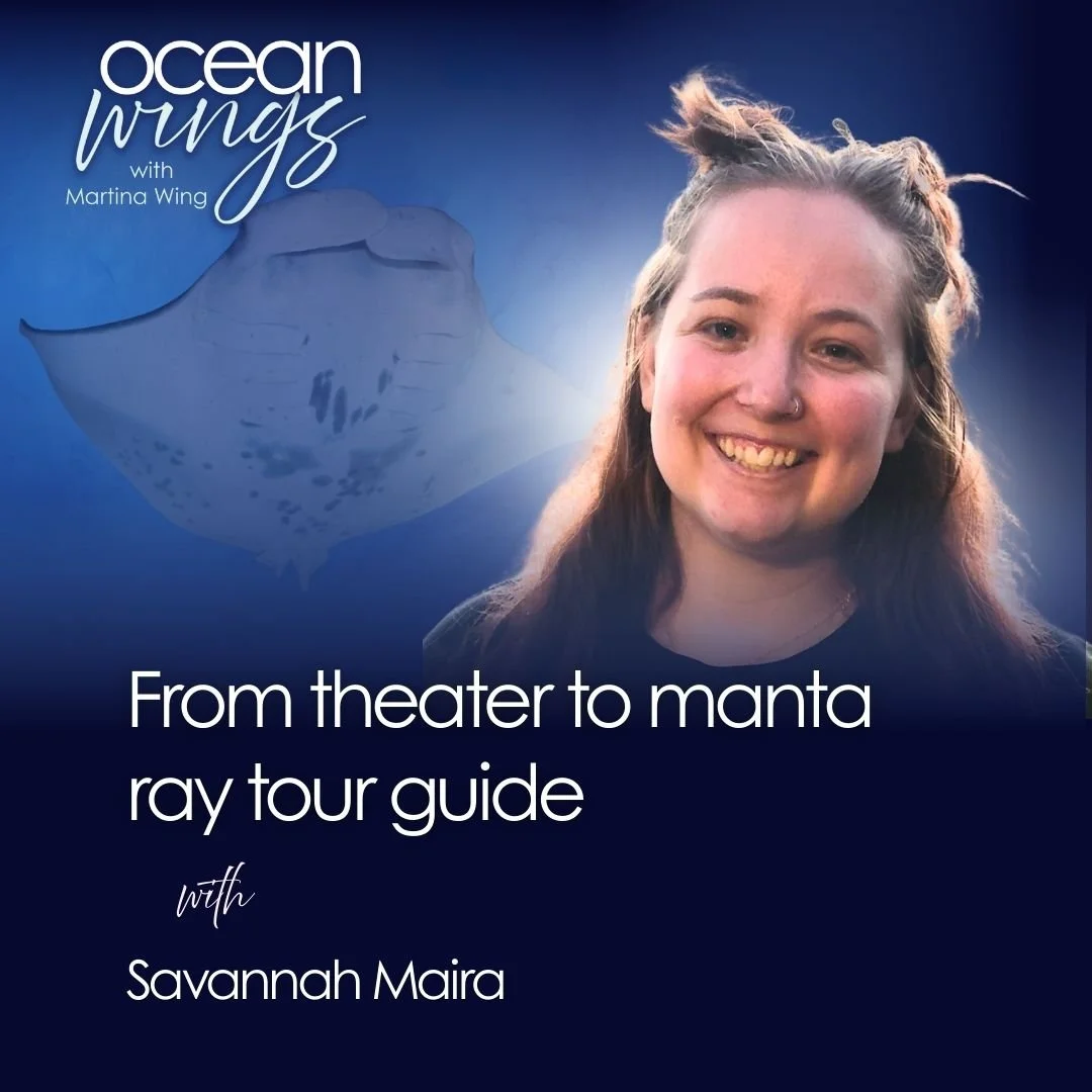 Behind the scenes of manta ray snorkeling