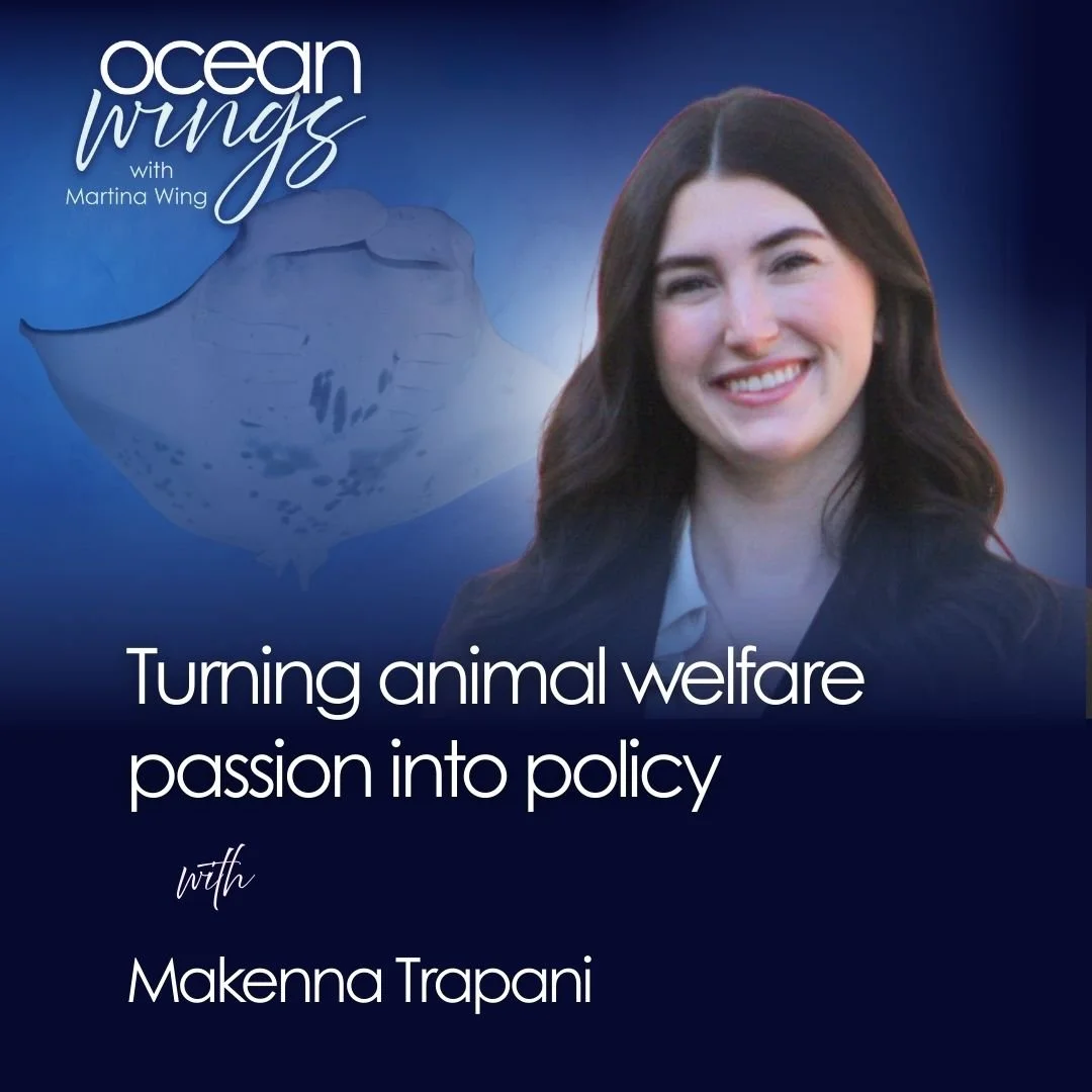 Turning animal emergency care into policy action